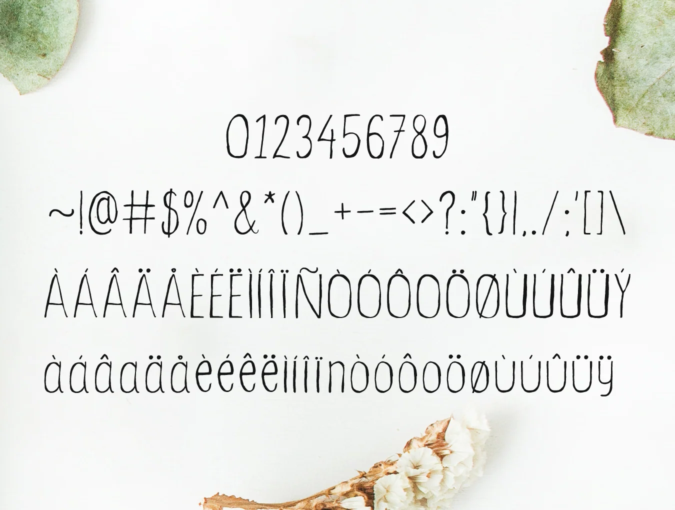 Ceica Handwritten Duo Font 4