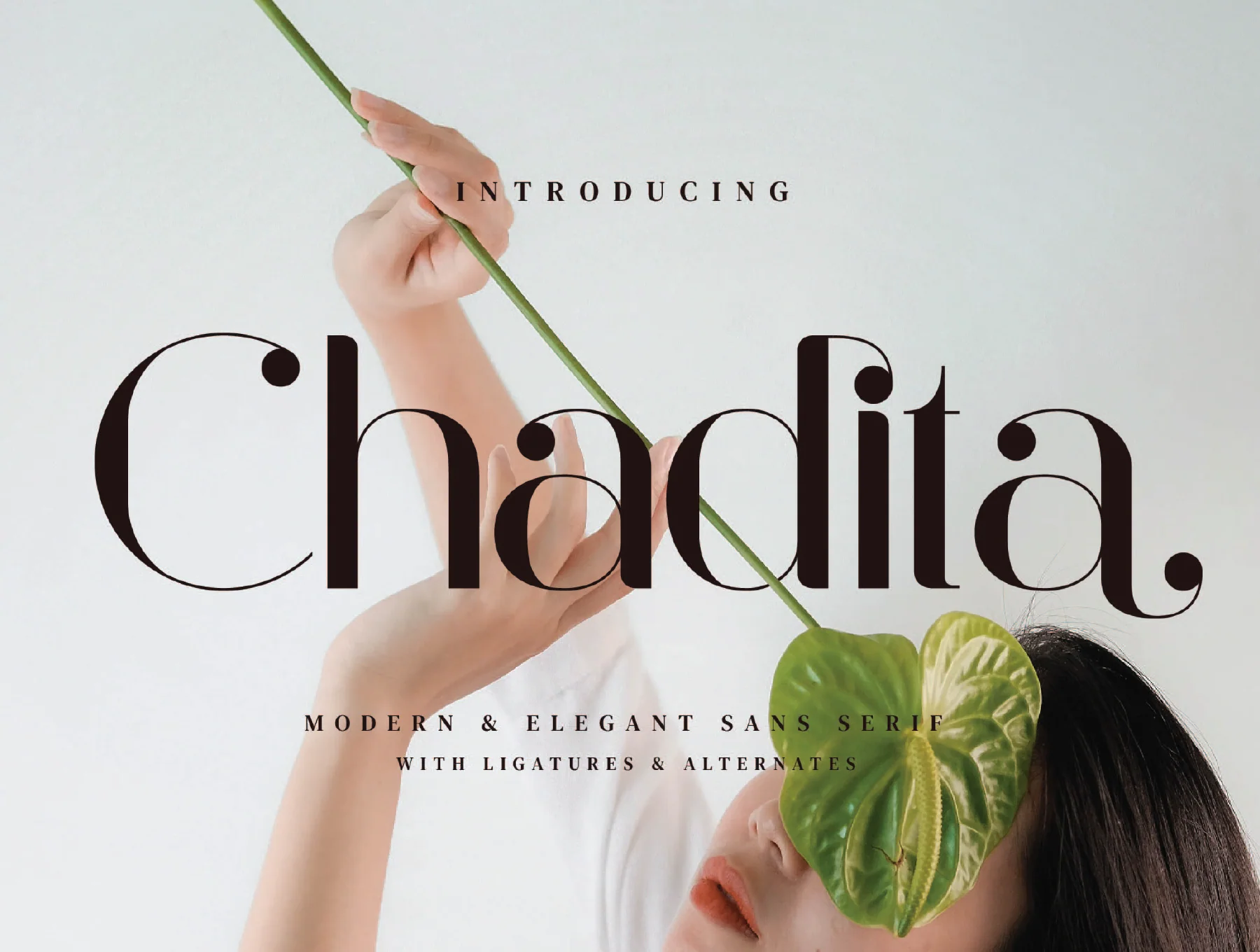 Chadita