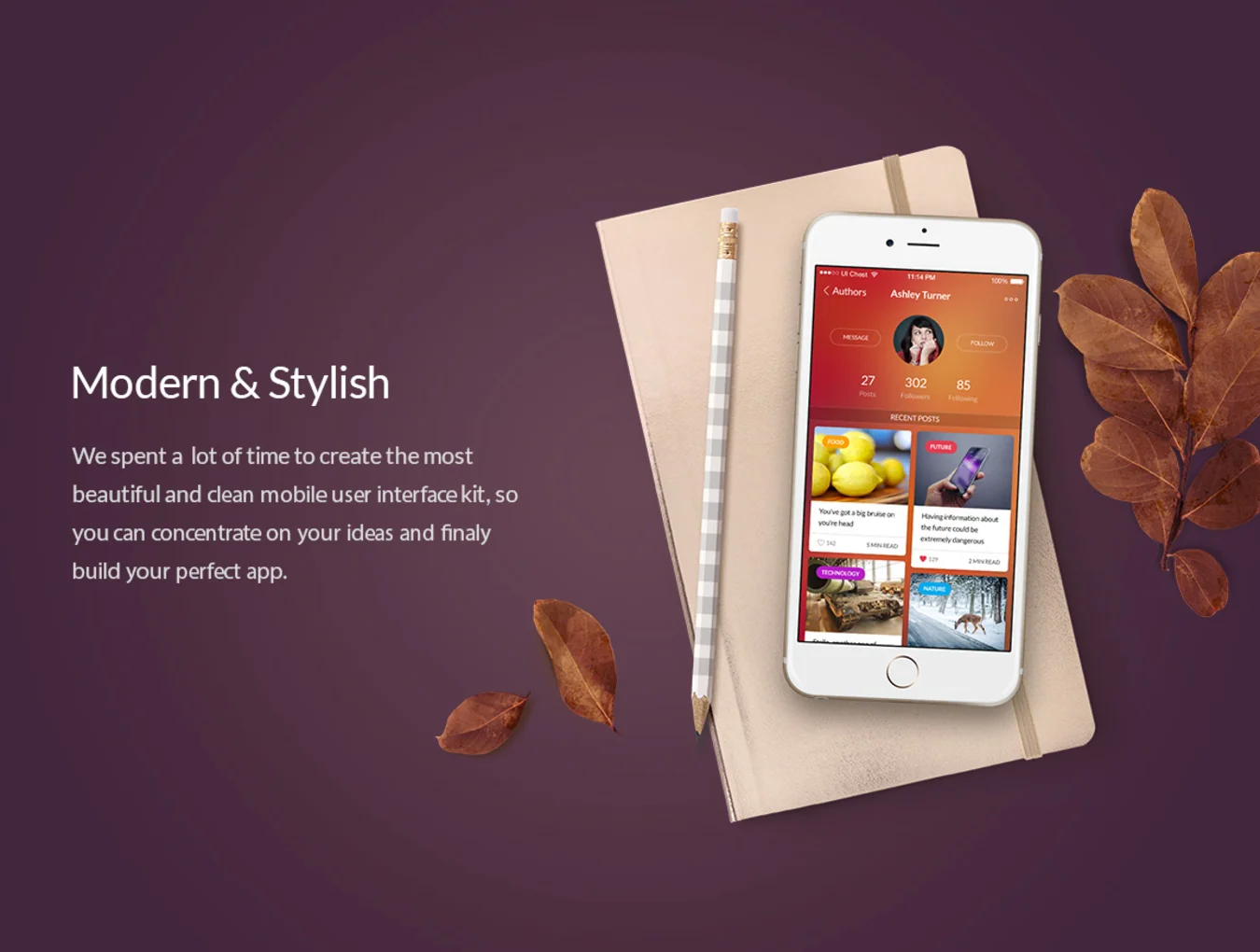 Chameleon UI Kit 2
