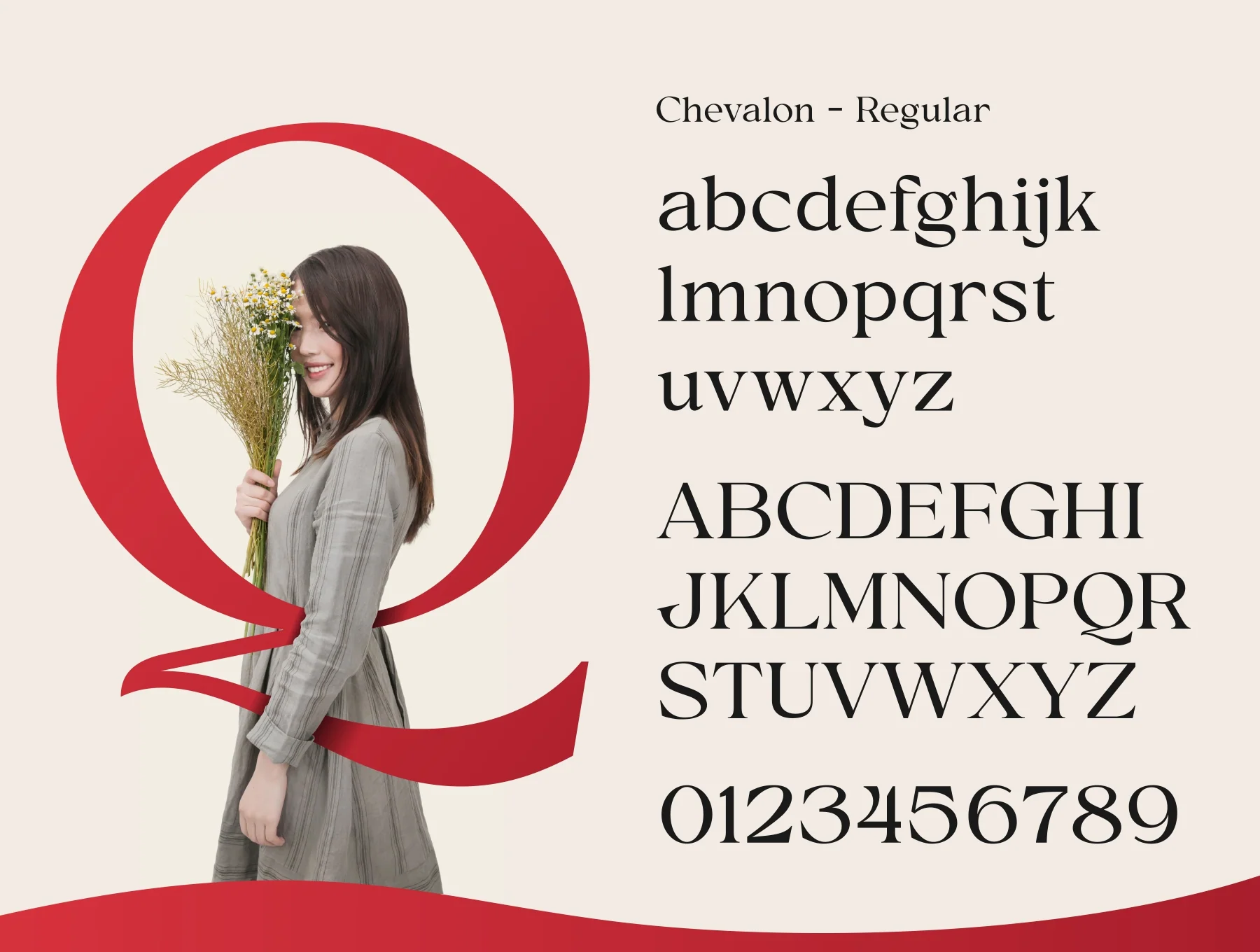 Chevalon Fonts Family 7