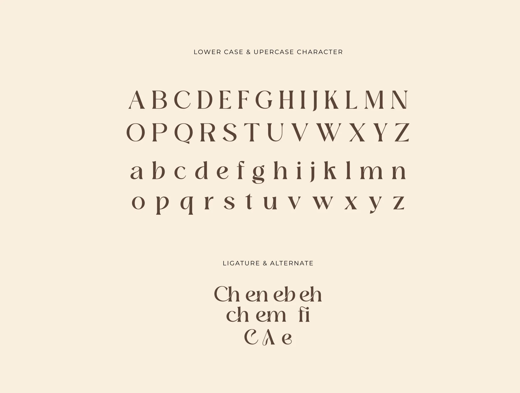 Chic Avenue Beautiful Serif Font 9
