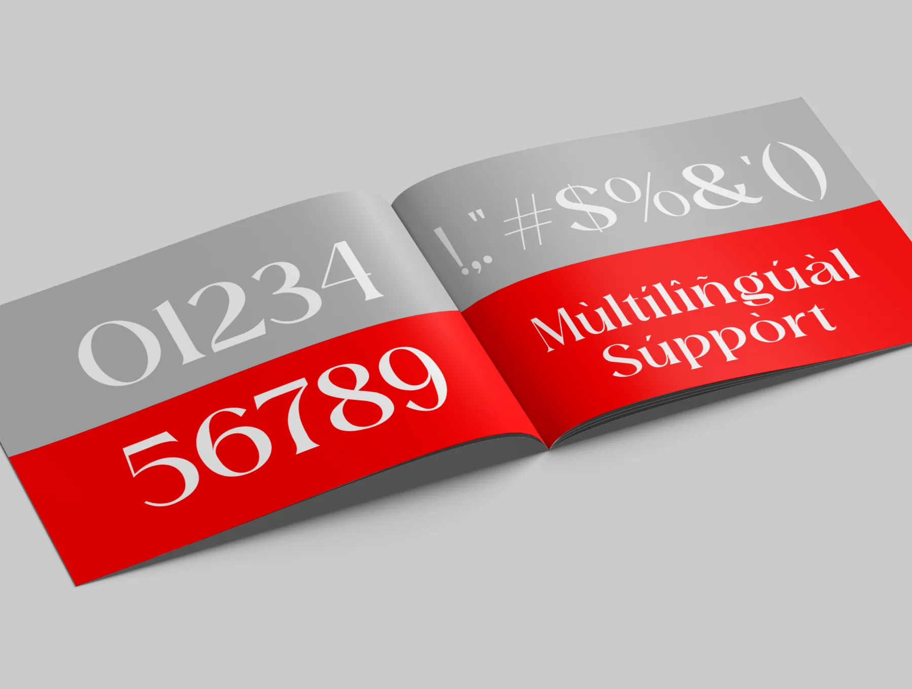 Chic Avenue Beautiful Serif Font 10