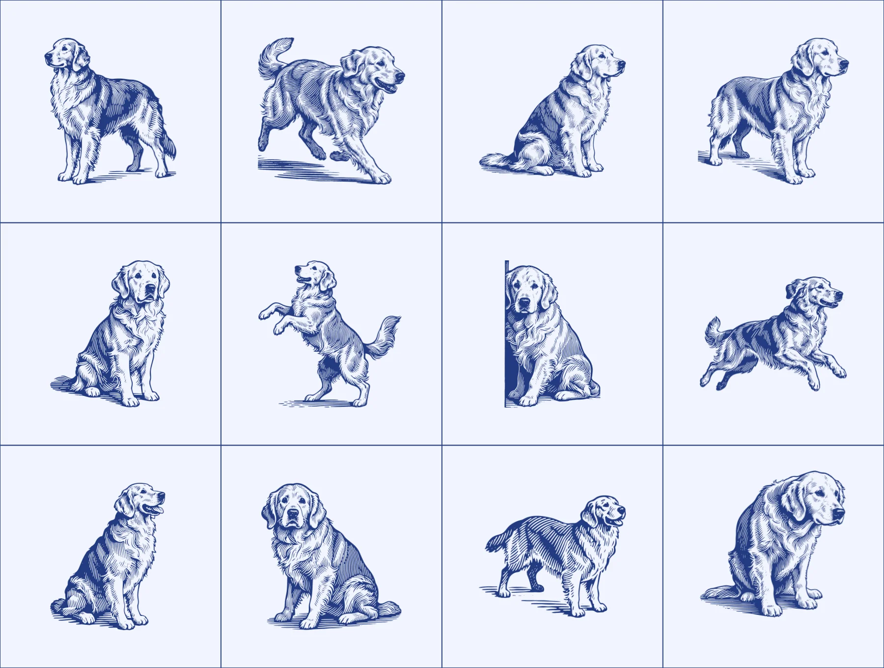 Cute Dog Illustration - Golden Retriever 5
