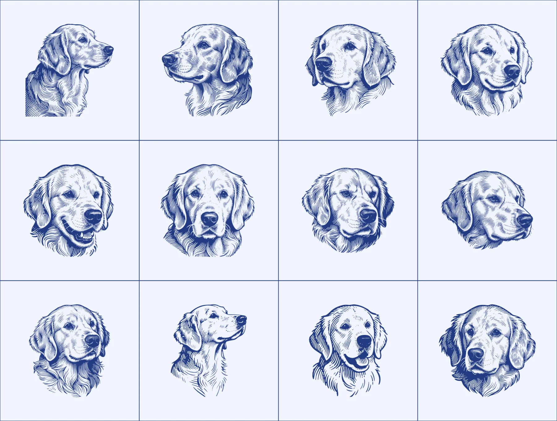 Cute Dog Illustration - Golden Retriever 6