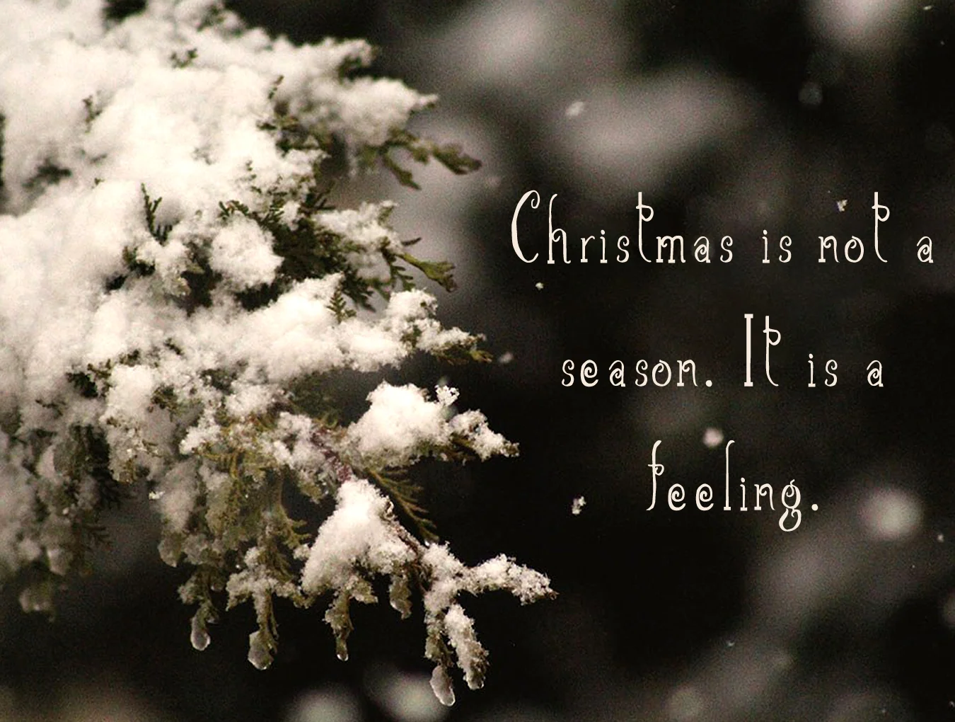 Christmas Script Font 6