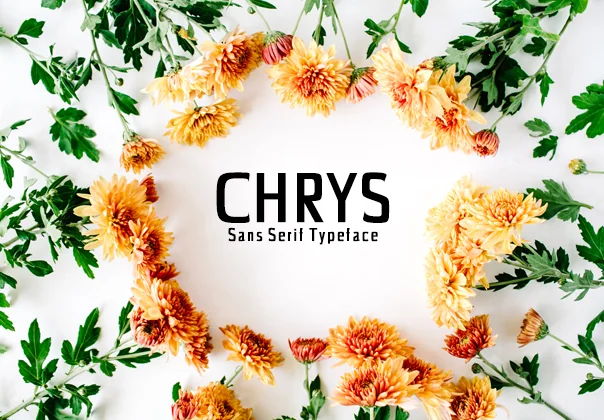 Chrys Sans Serif Typeface