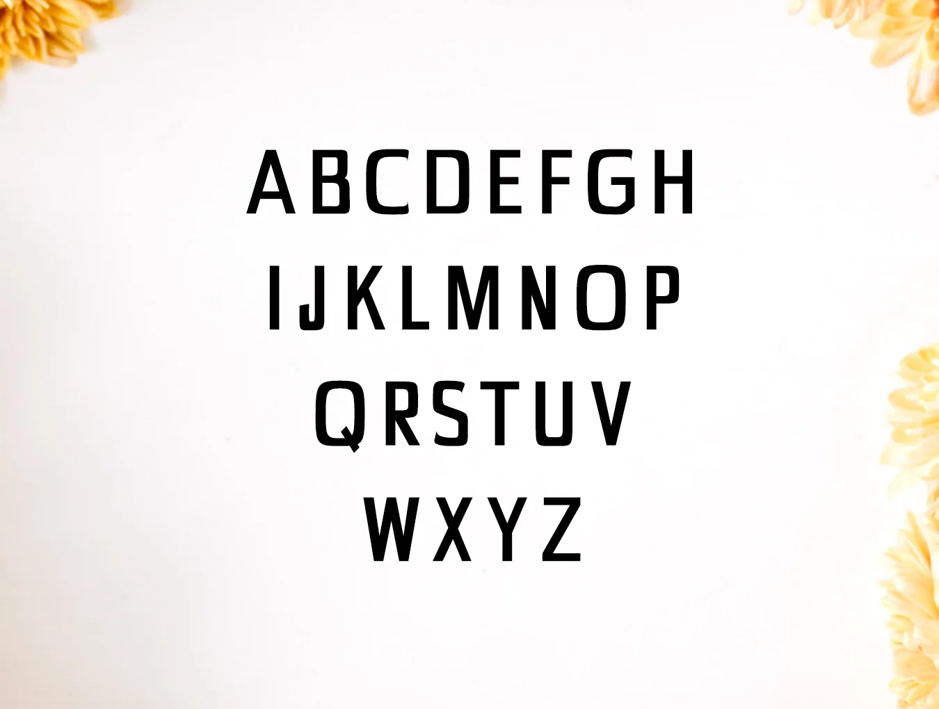 Chrys Sans Serif Typeface 2