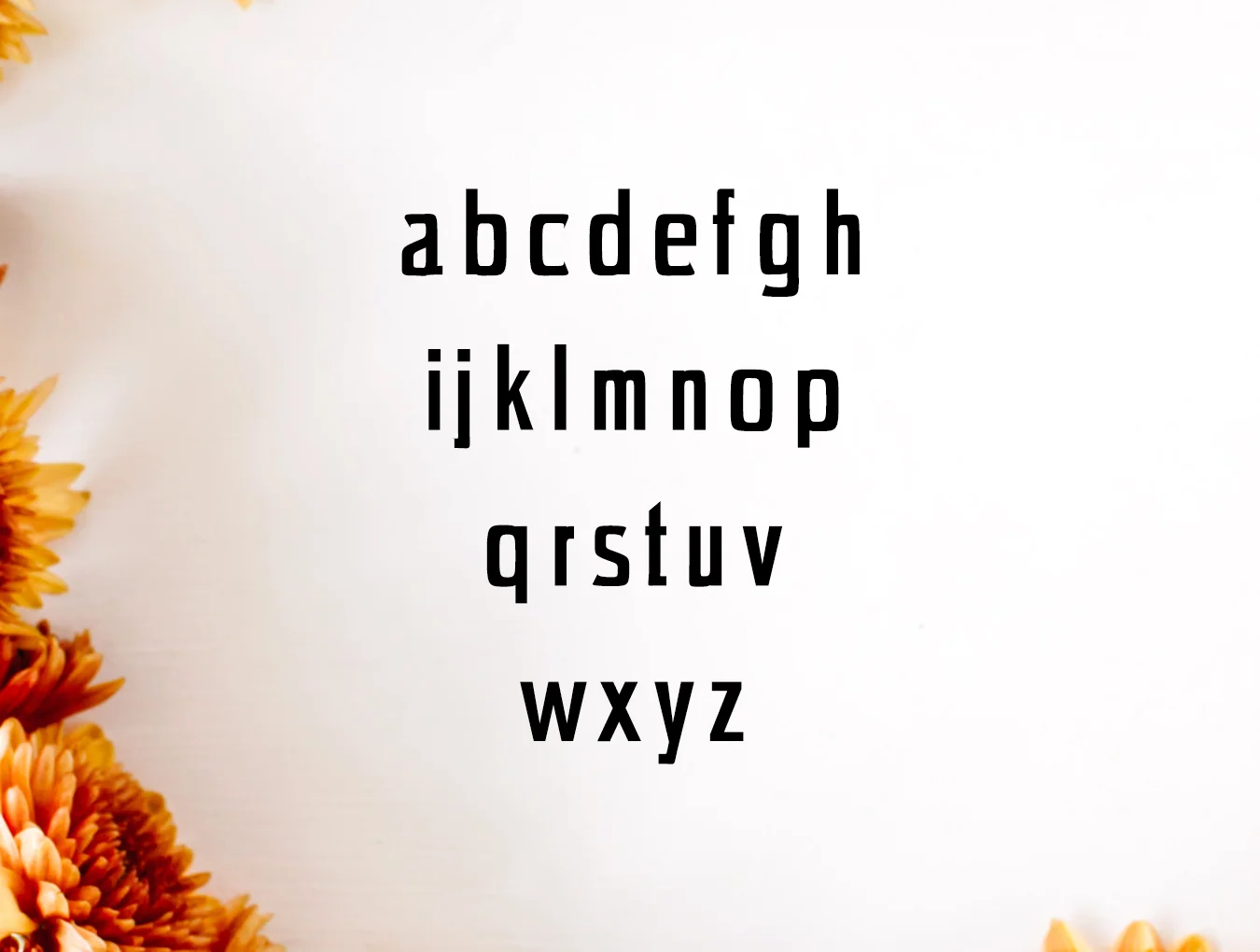 Chrys Sans Serif Typeface 3