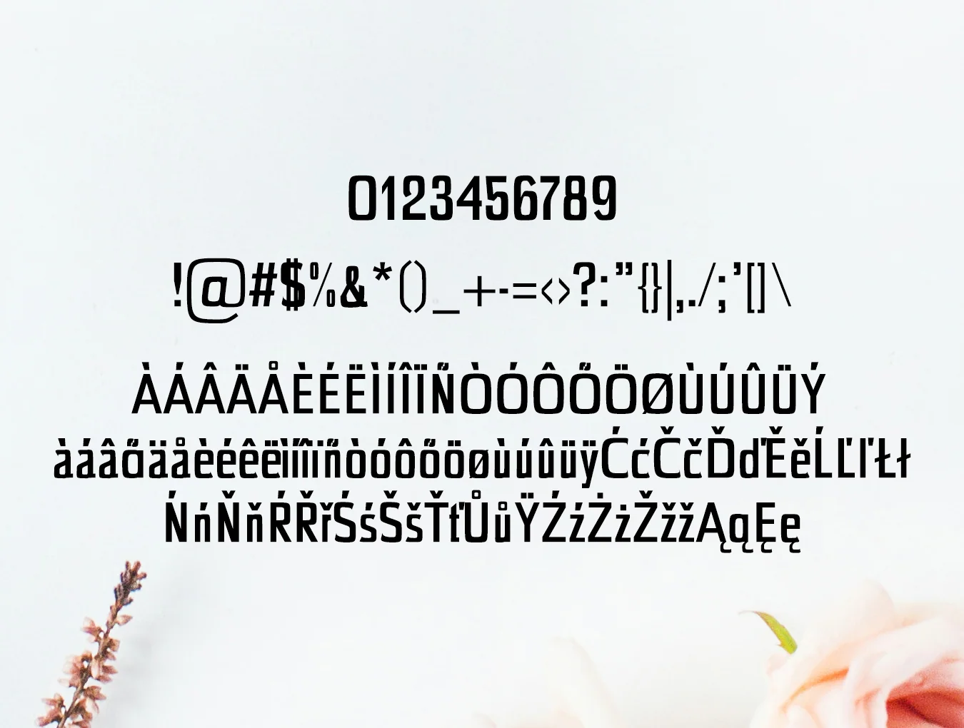 Chrys Sans Serif Typeface 4