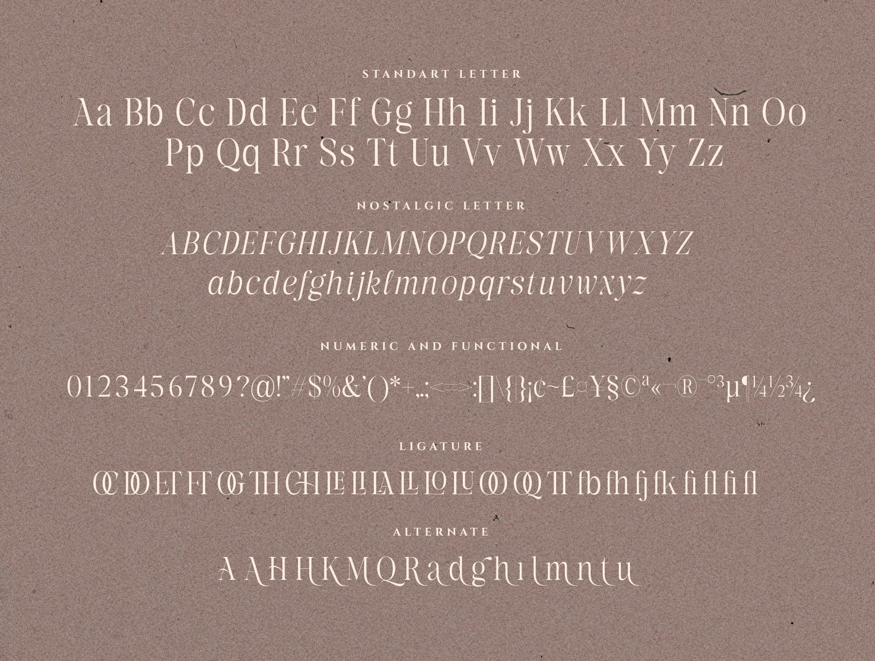 Clarisa Stories Modern Serif Font 8