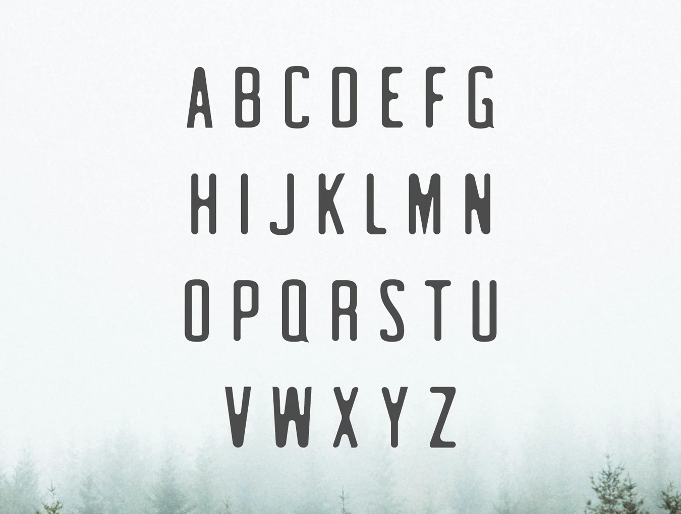 Clarra Sans Serif Family 2