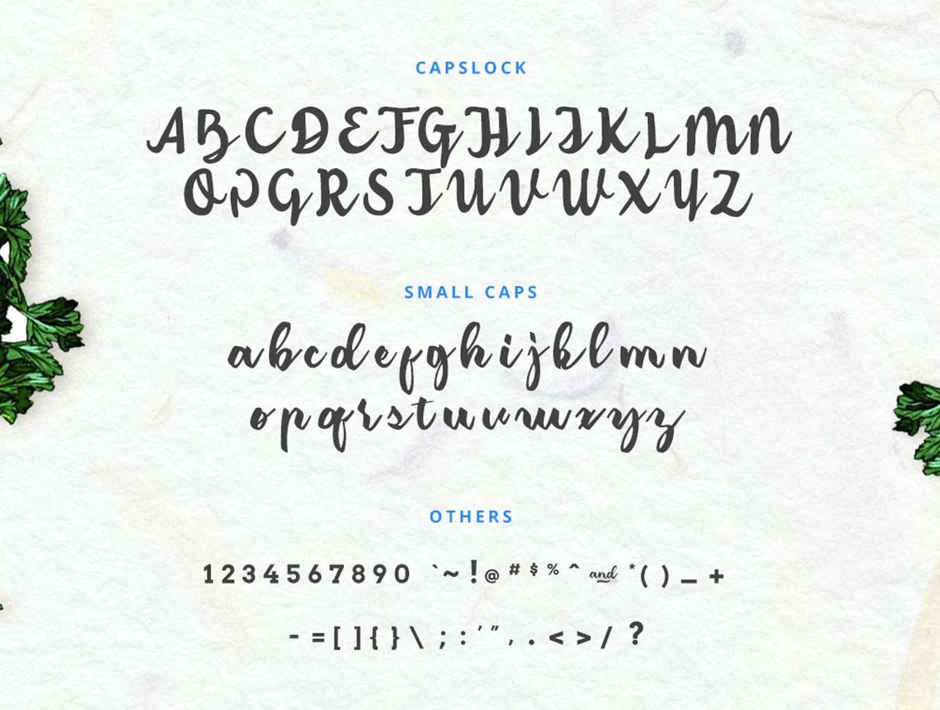 Classic Amerizana Regular Typeface 4