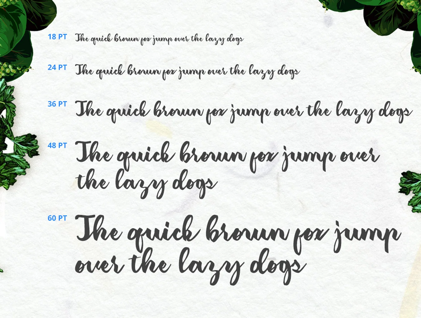 Classic Amerizana Regular Typeface 5