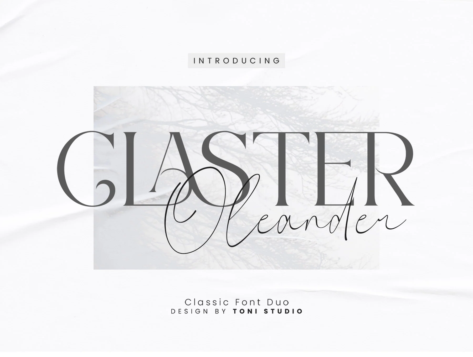 Claster Oleander 8