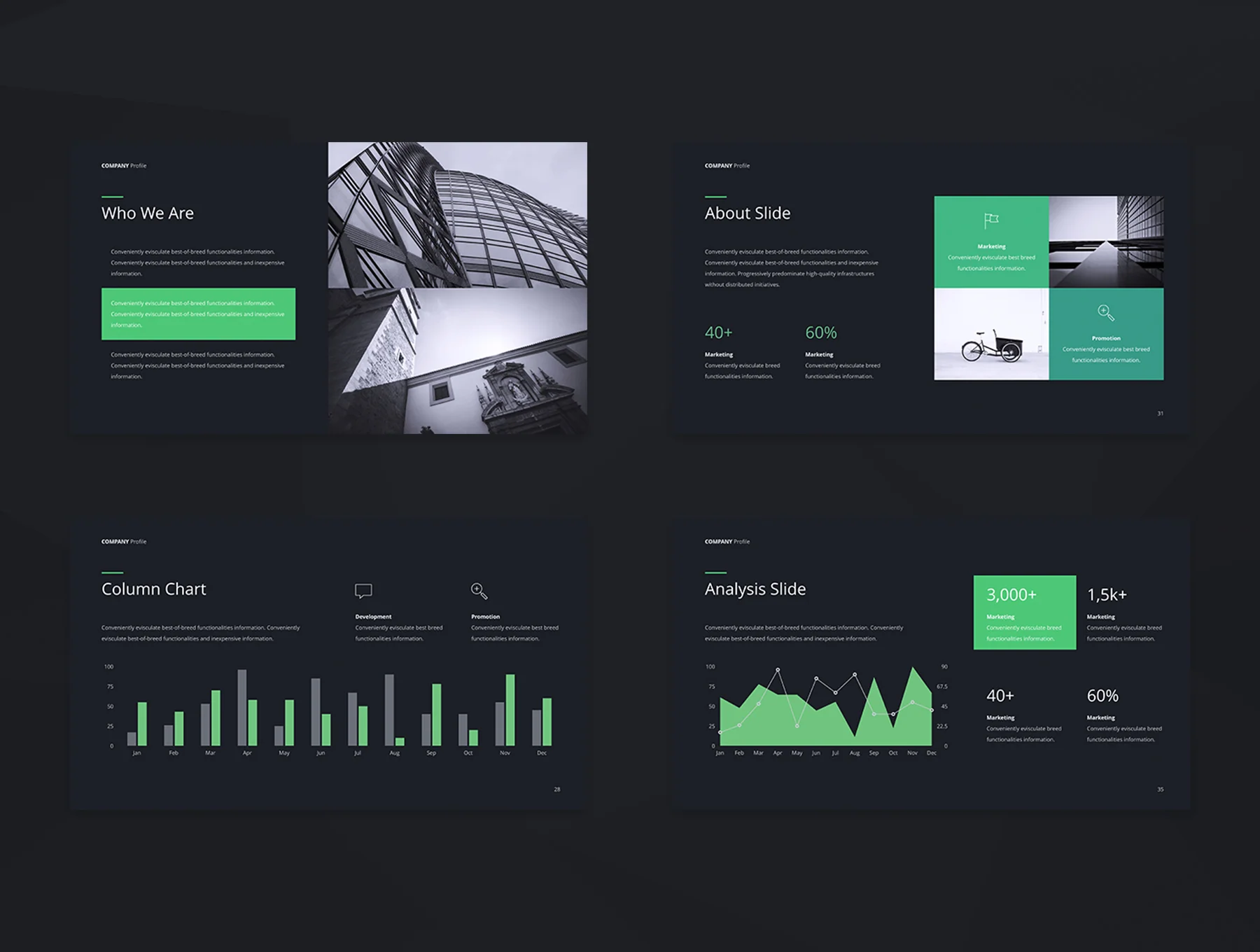 Company Profile 5