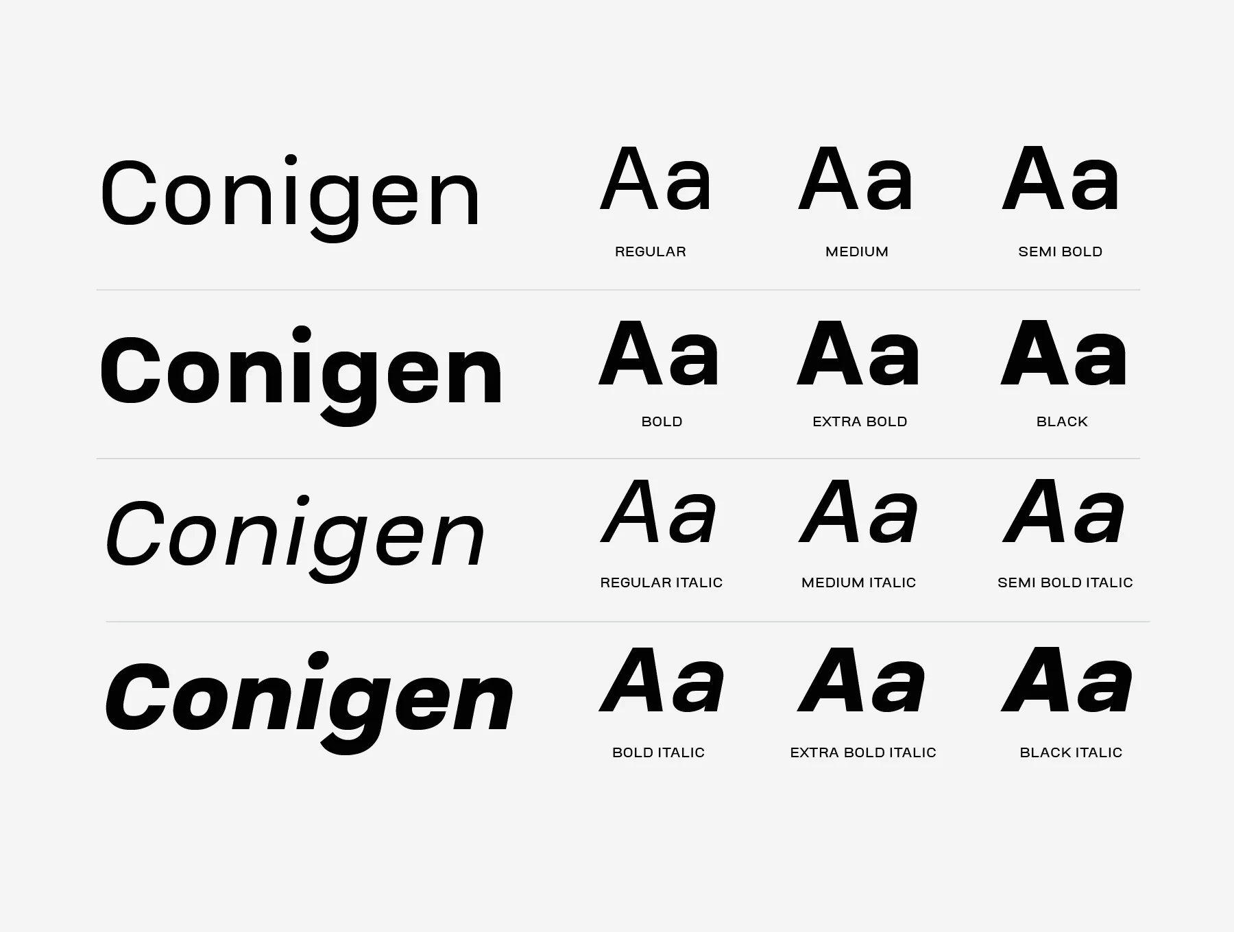 Conigen Modern Sans Serif