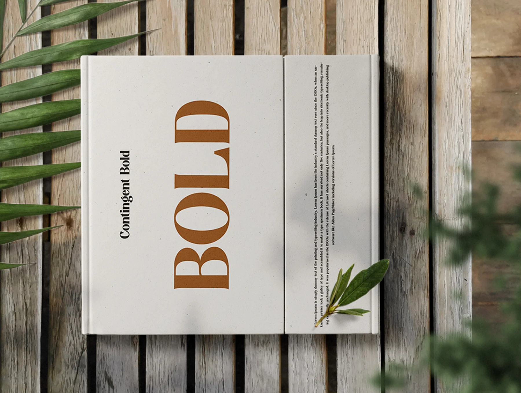 Contingent Serif Family 7