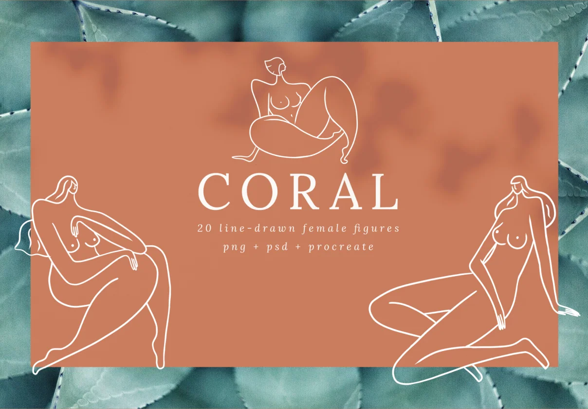 Coral Feminine Line Drawings