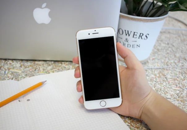 Coworking Space Mockups
