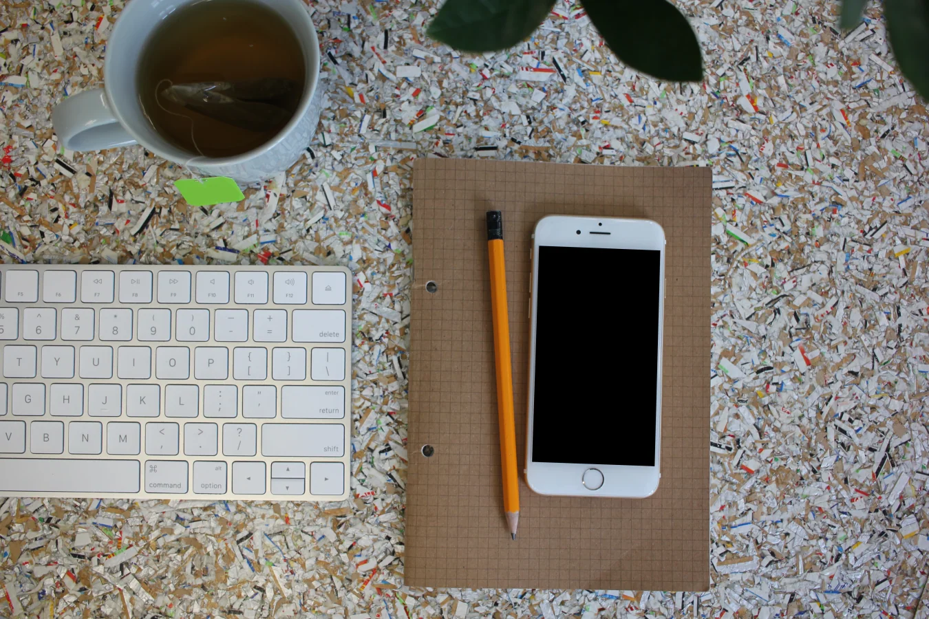 Coworking Space Mockups 2