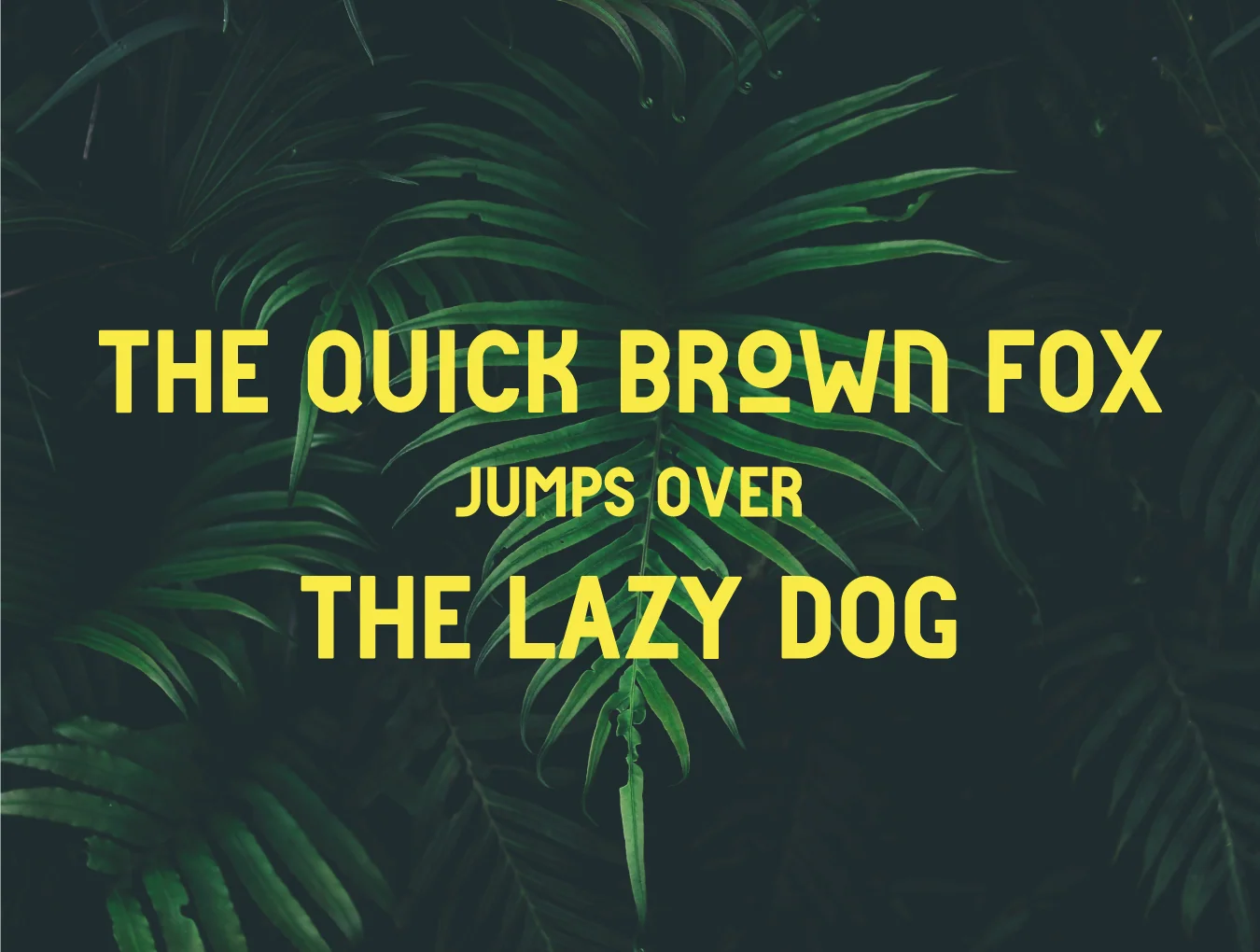 Dakar Font 5