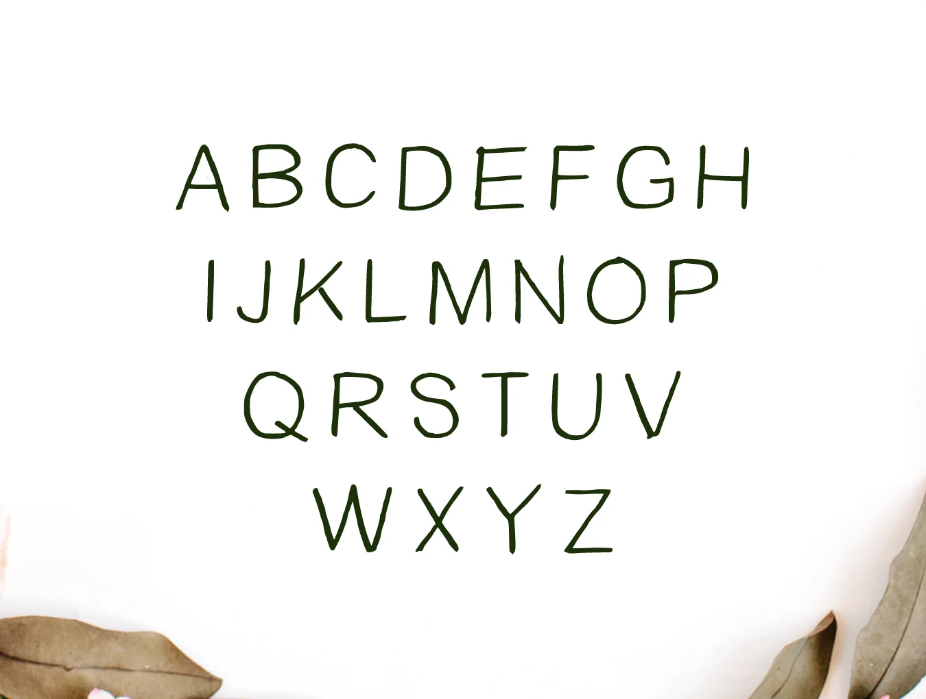 Damean Duo Font 4