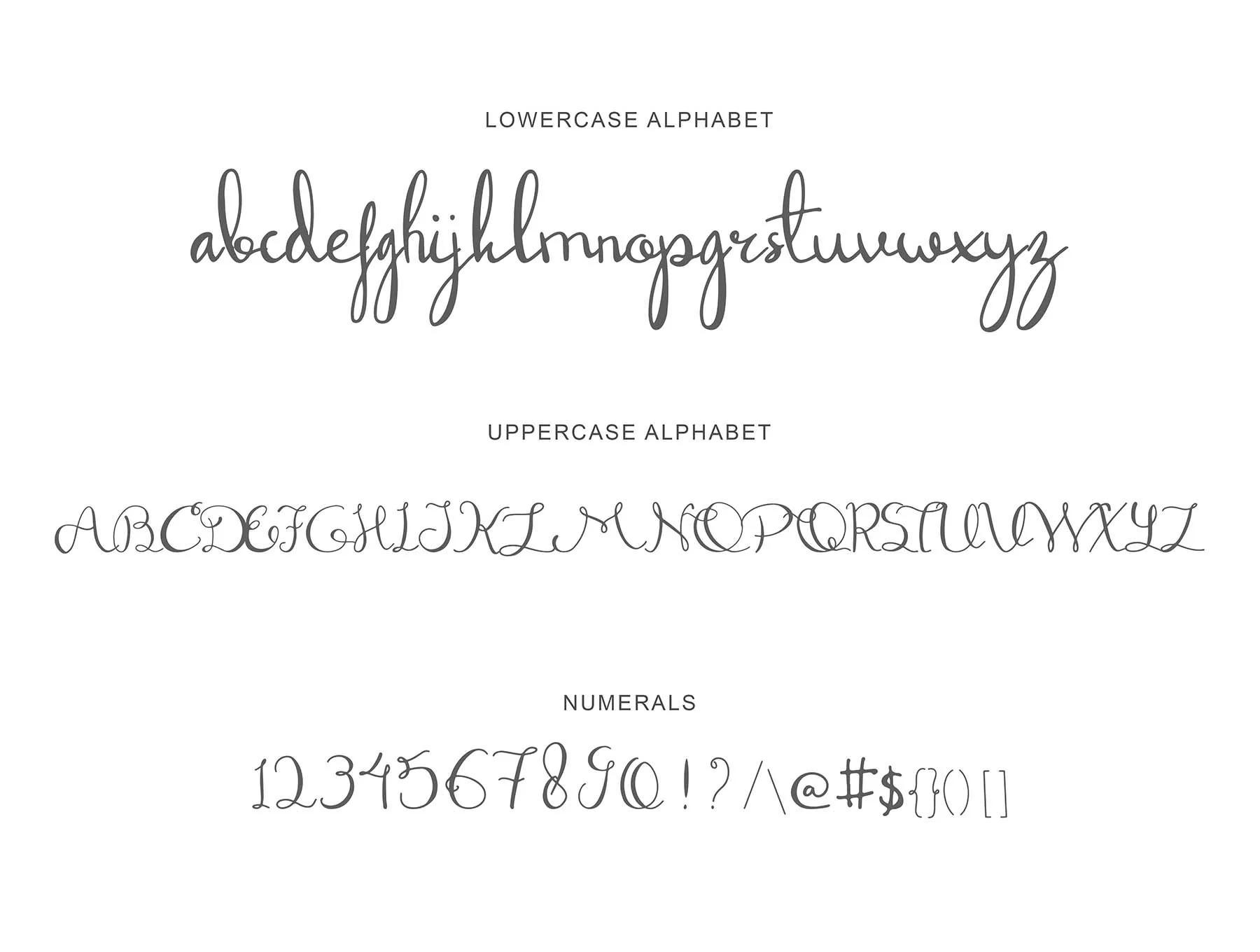 Dandelion Script Font 2