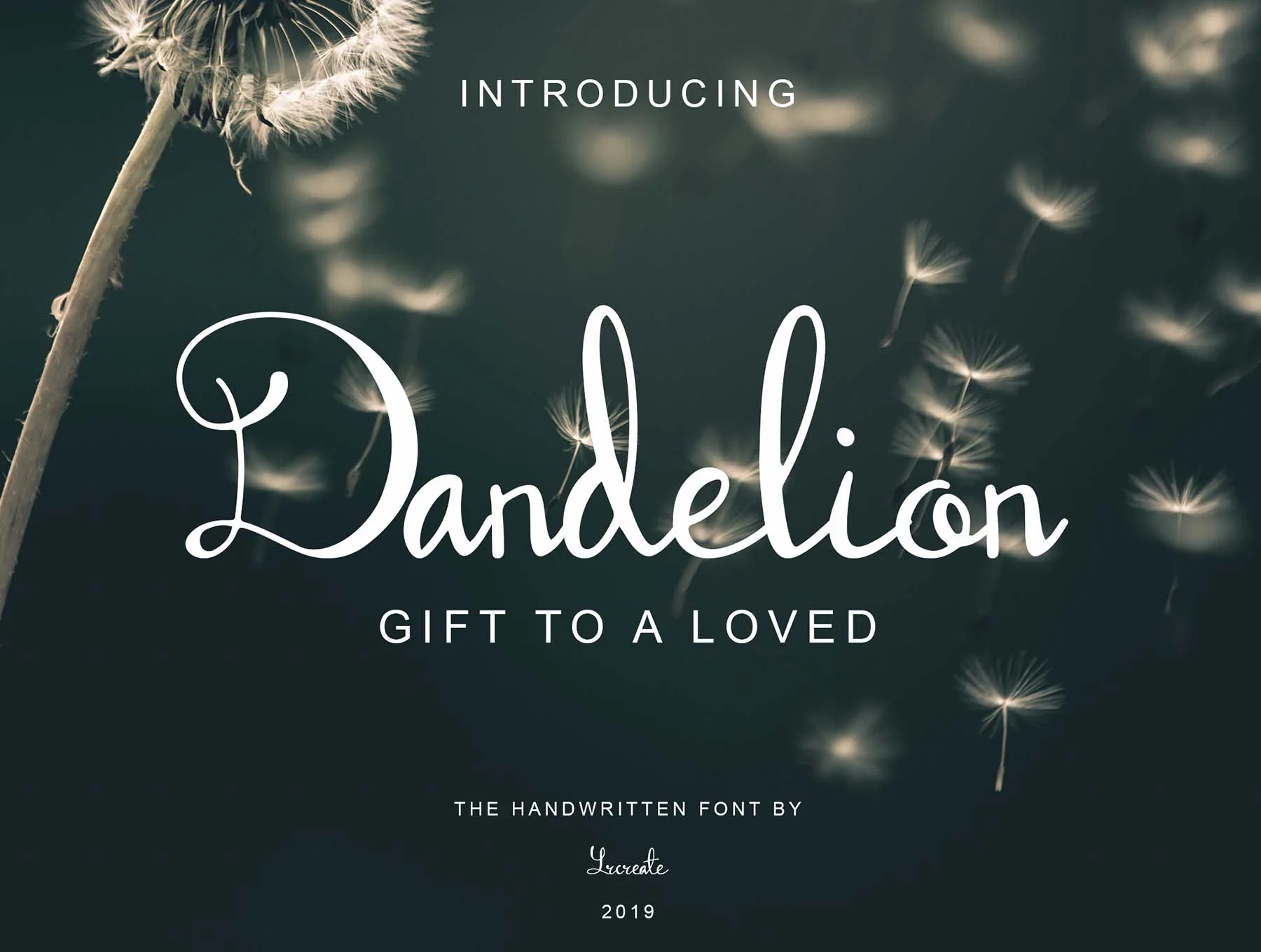 Dandelion Script Font 6
