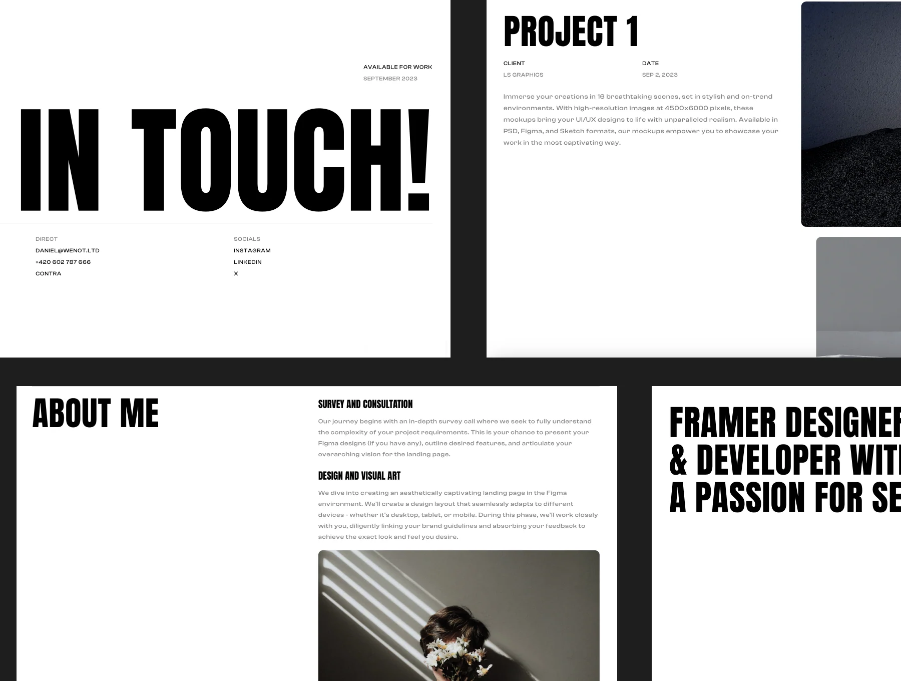 DF Freelance 3
