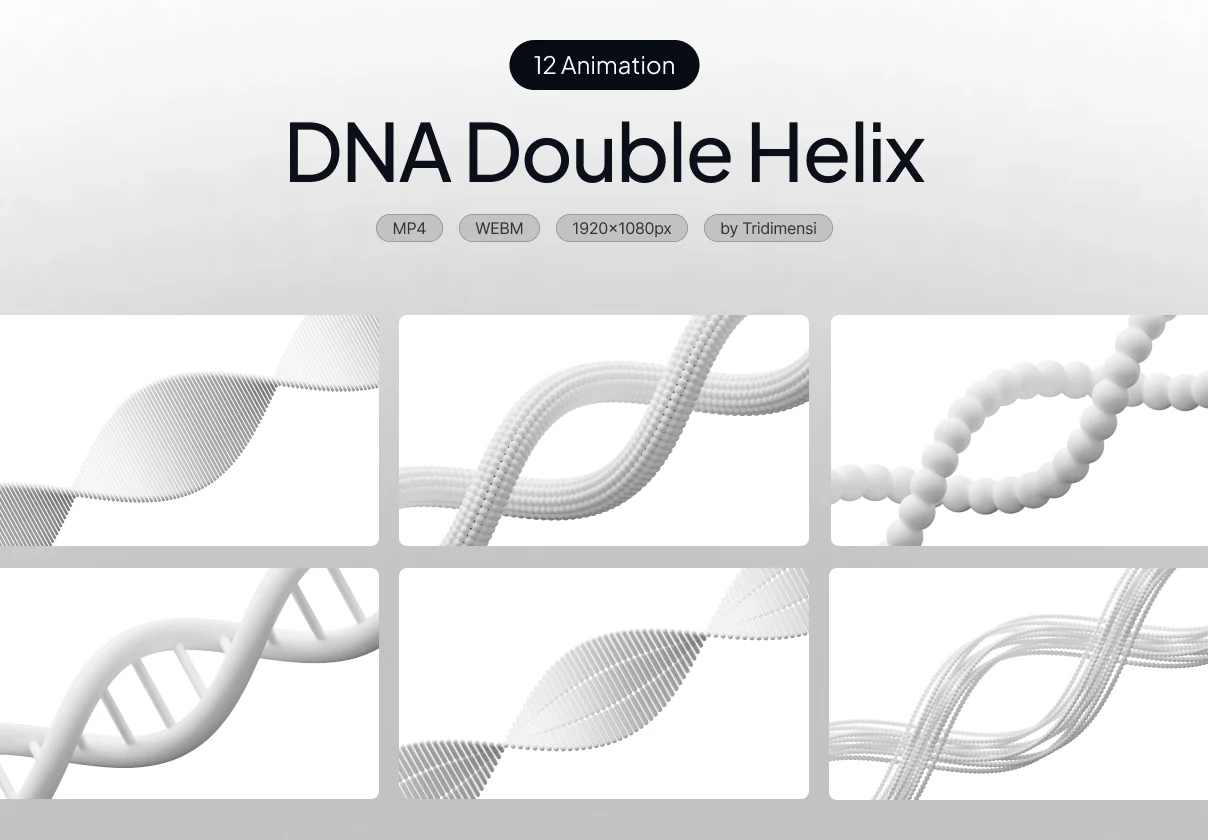 DNA Double Helix 3D Animation
