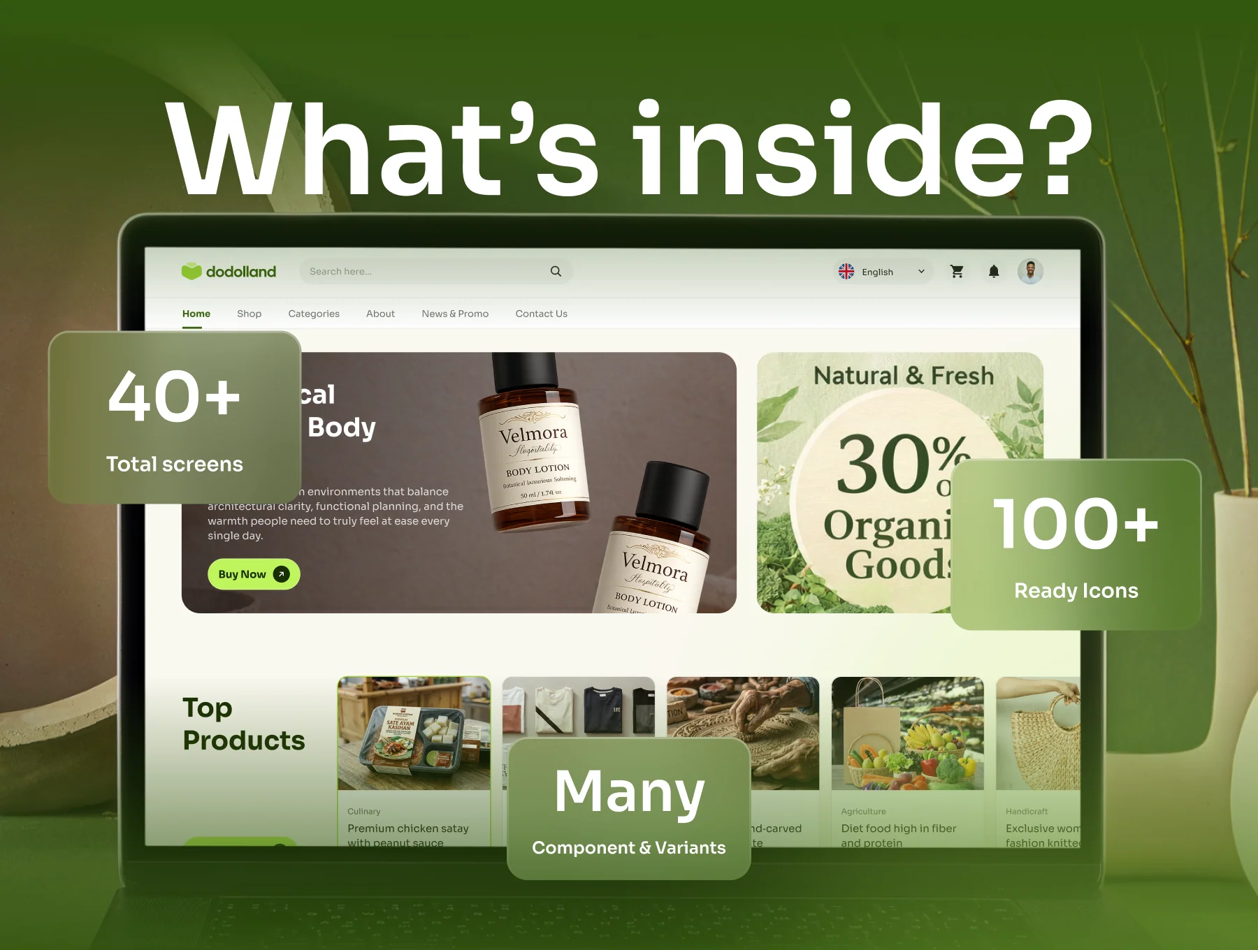 Dodolland - Small to Medium Business Ecommerce 4