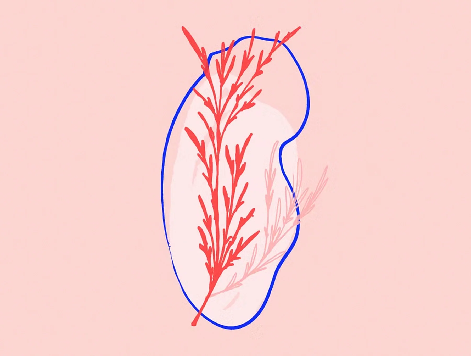 Doodlings - The Botanical Edition 14