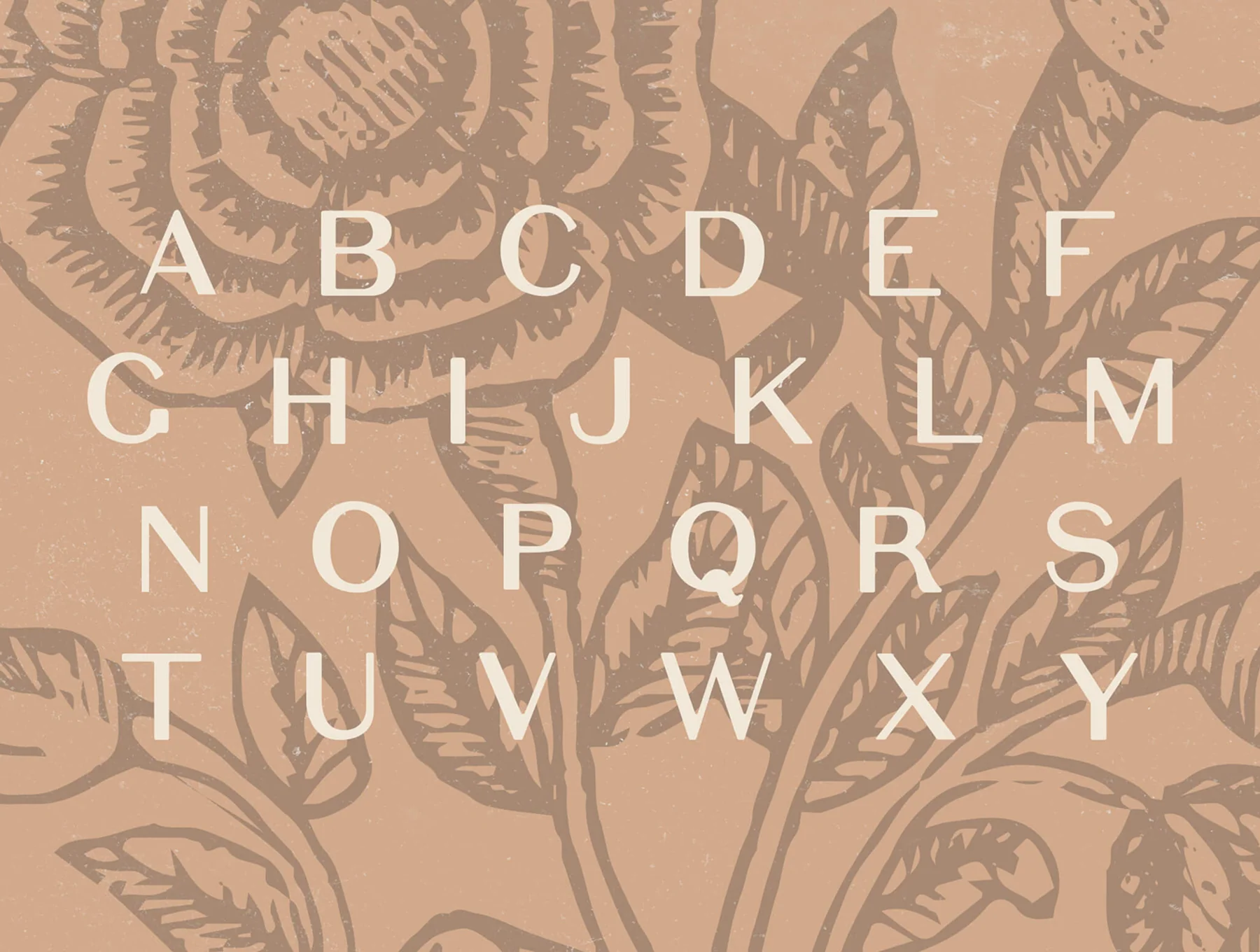 Elijah – Modern Sans Serif Display Font 2