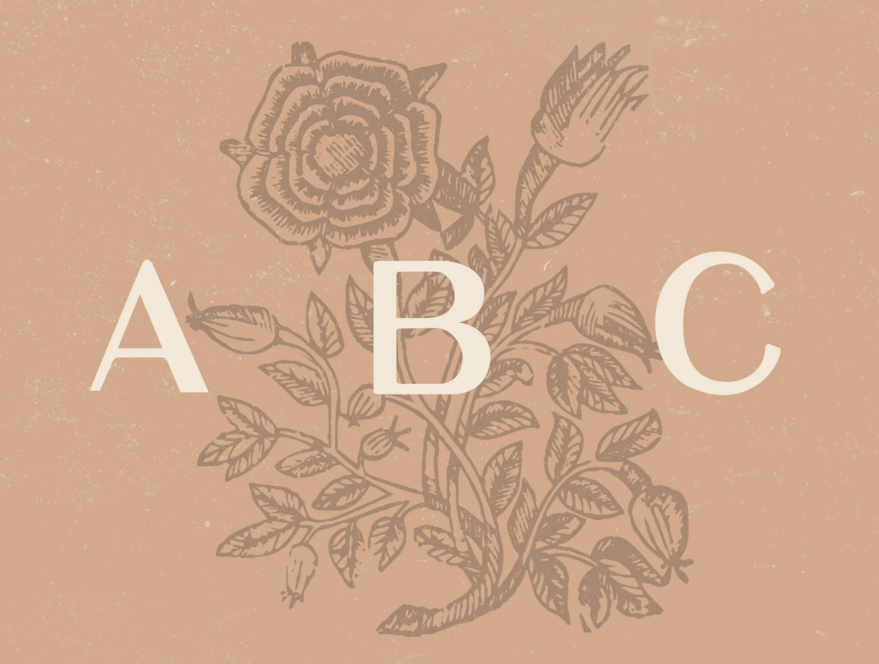 Elijah – Modern Sans Serif Display Font 6