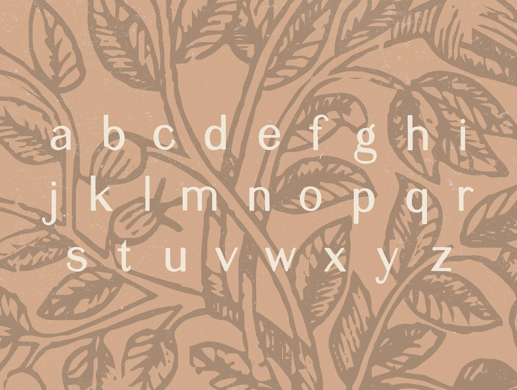 Elijah – Modern Sans Serif Display Font 7