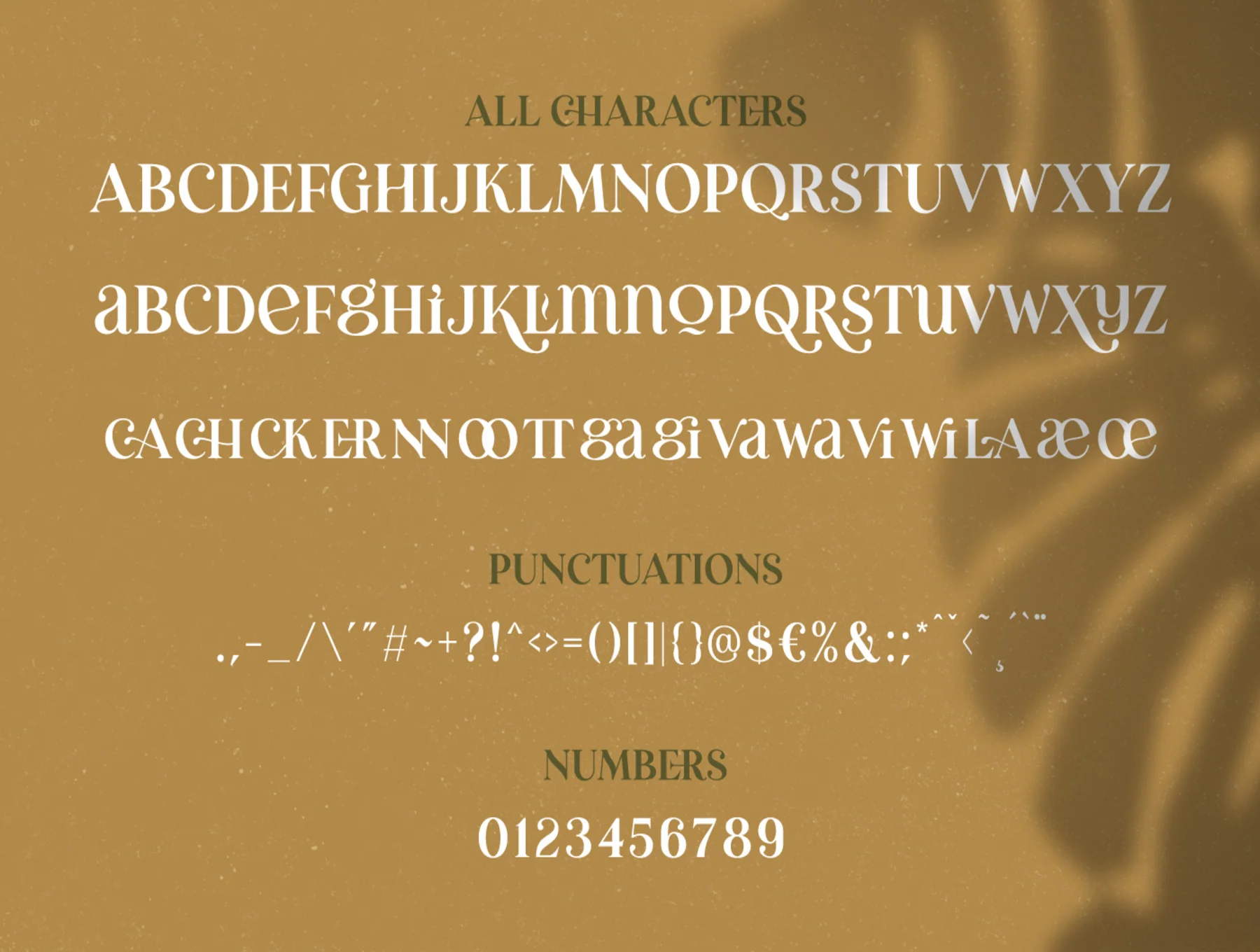 Erva Esra - Modern Quirky Serif Font 7