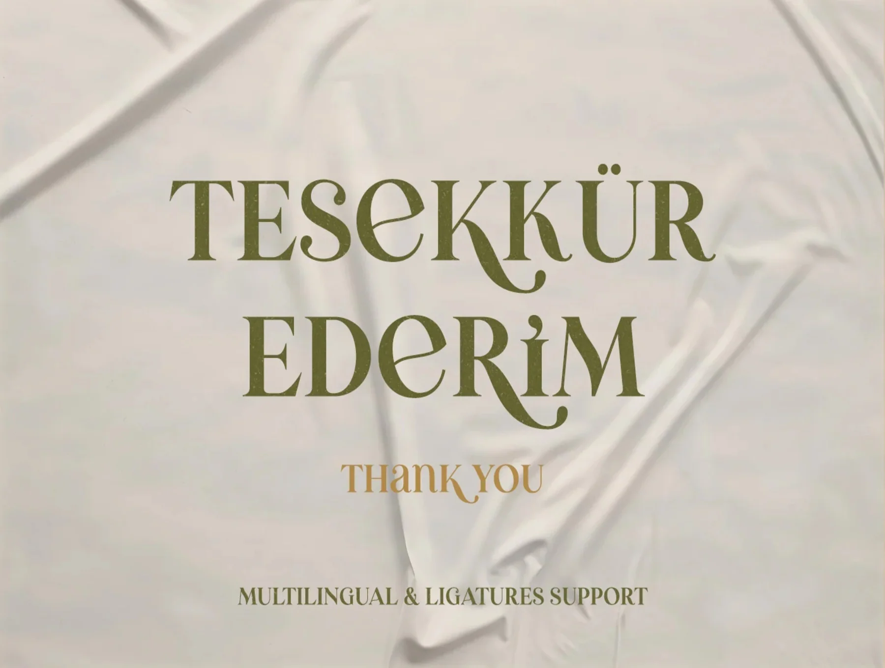 Erva Esra - Modern Quirky Serif Font 8