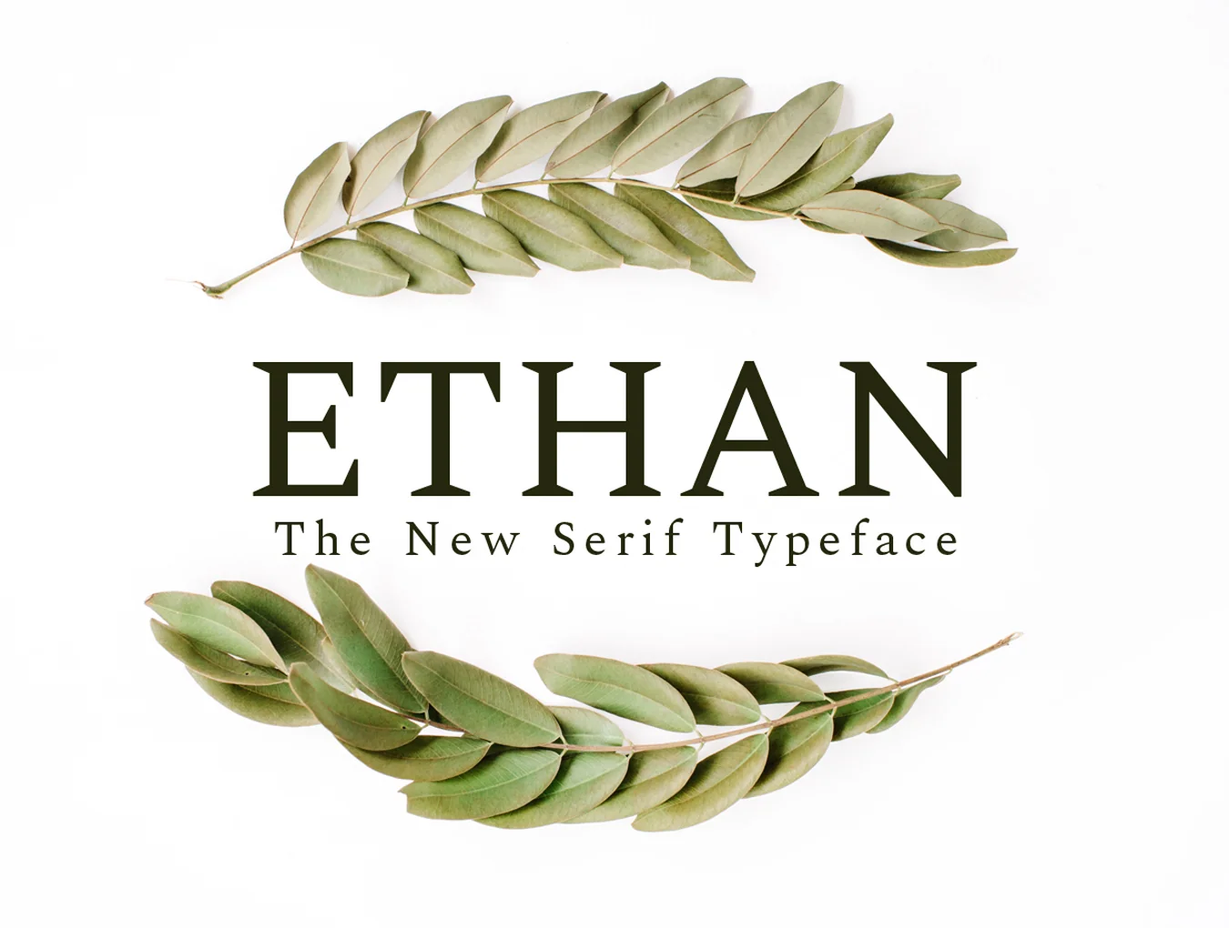 Ethan The New Serif Typeface