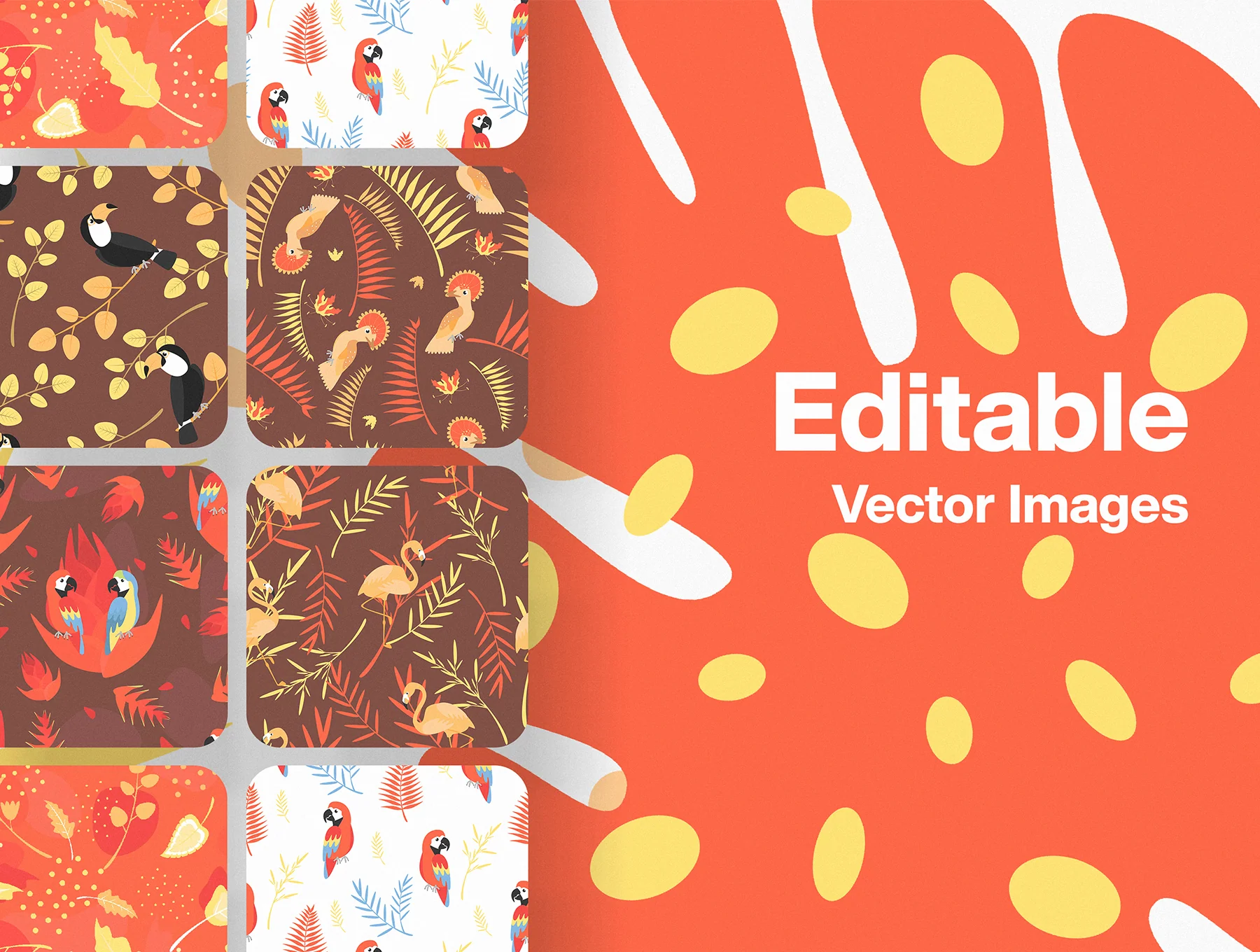 Exotic Pack 3