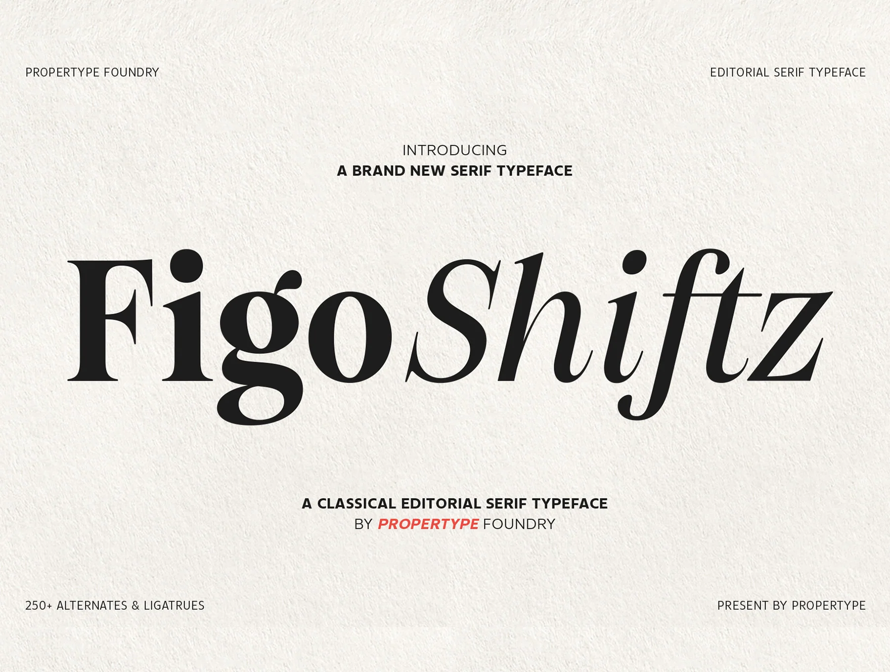 Figo Shiftz 8