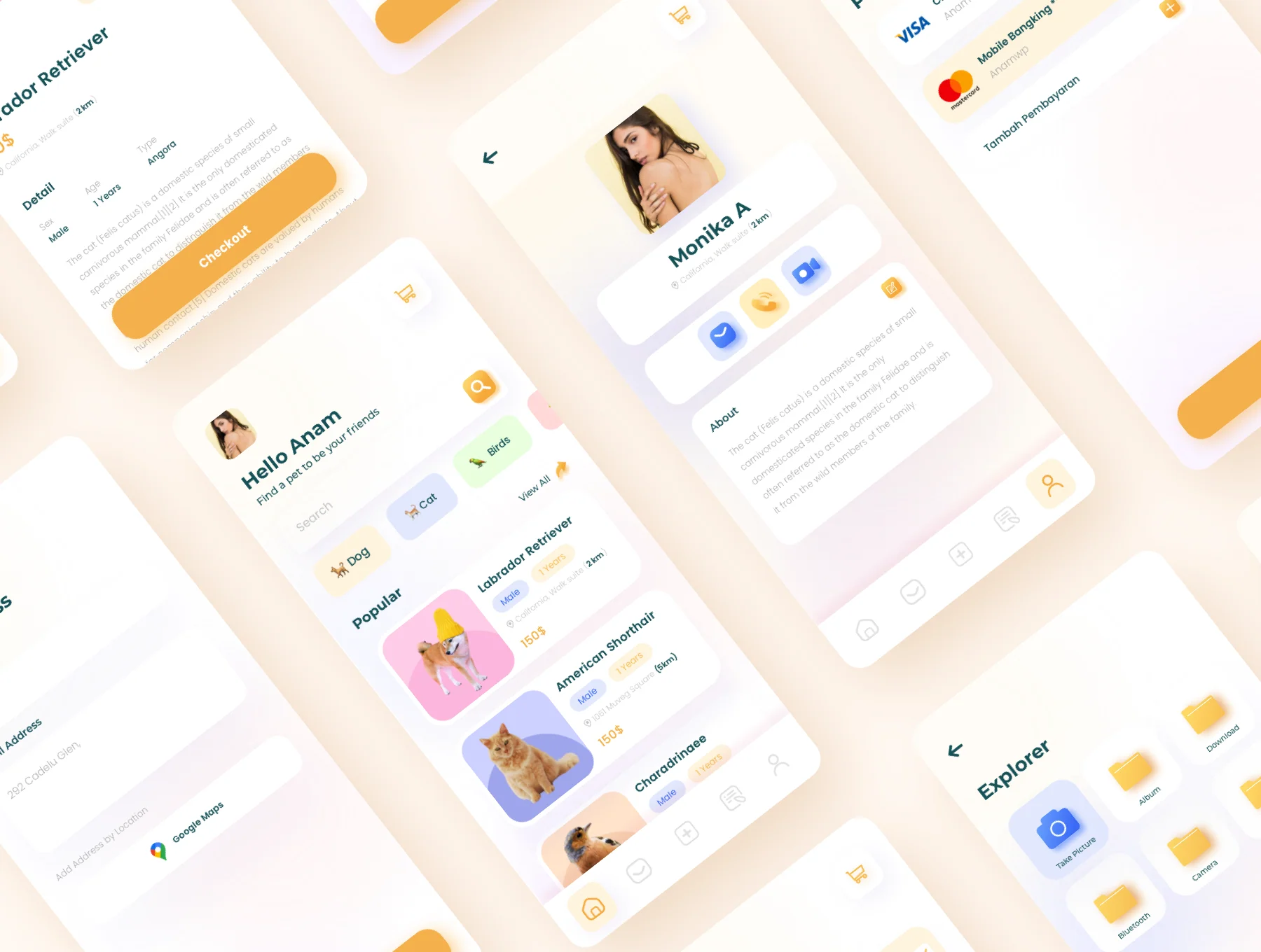 Findpet - Pet Finder UI KIT 5