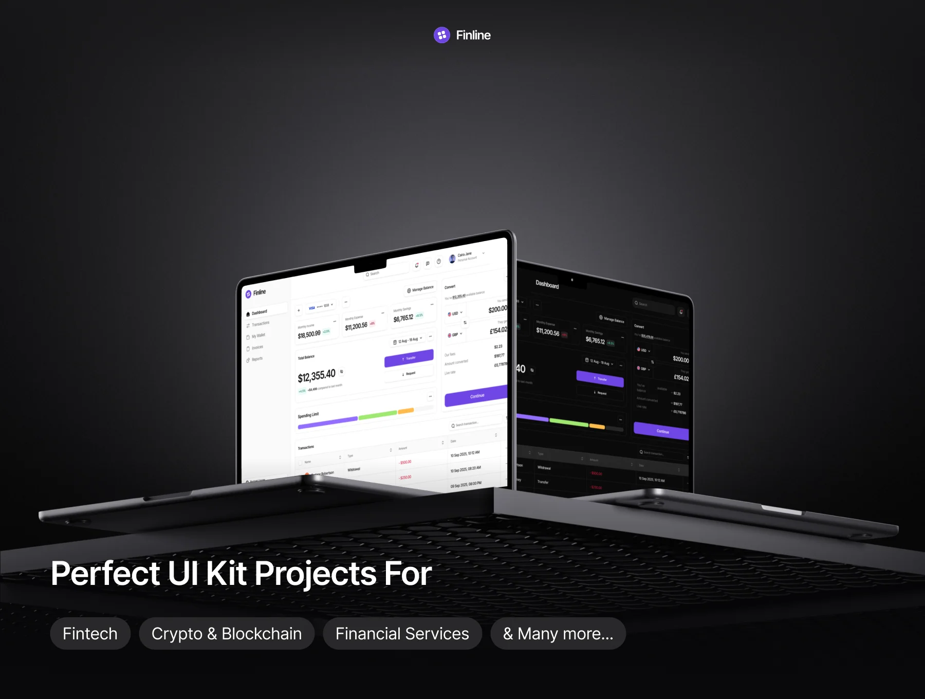Finline - Financial Services Dashboard UI Kit 4