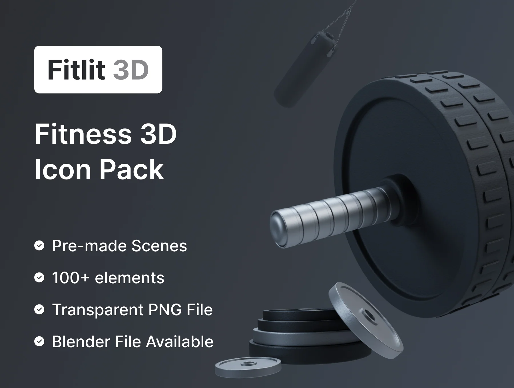 Fitlit 3D | Fitness 3D Models