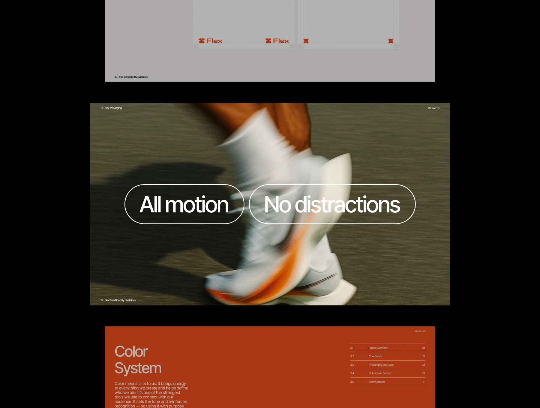 Flex Brand Guideline Template 3