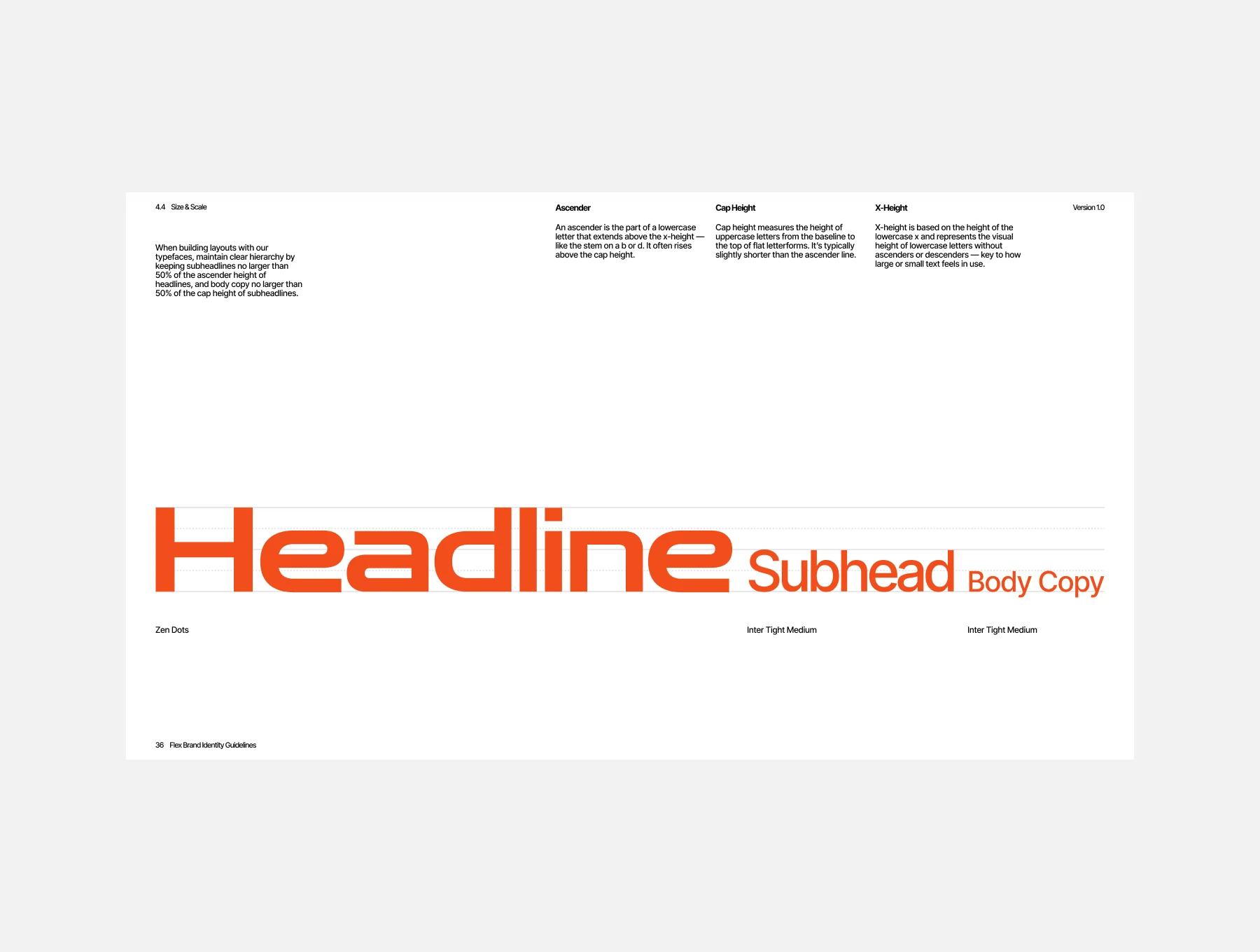 Flex Brand Guideline Template 4