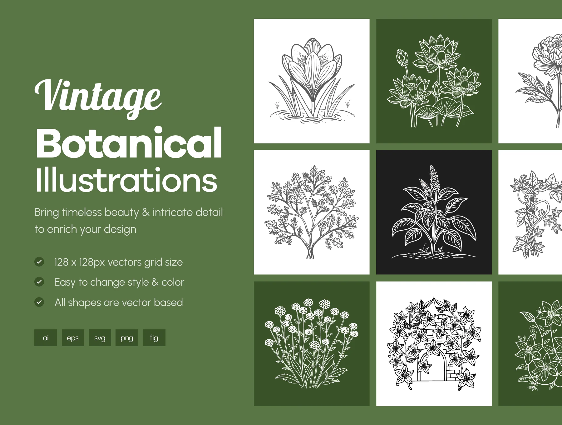 Floral and Botanical Illustration Set