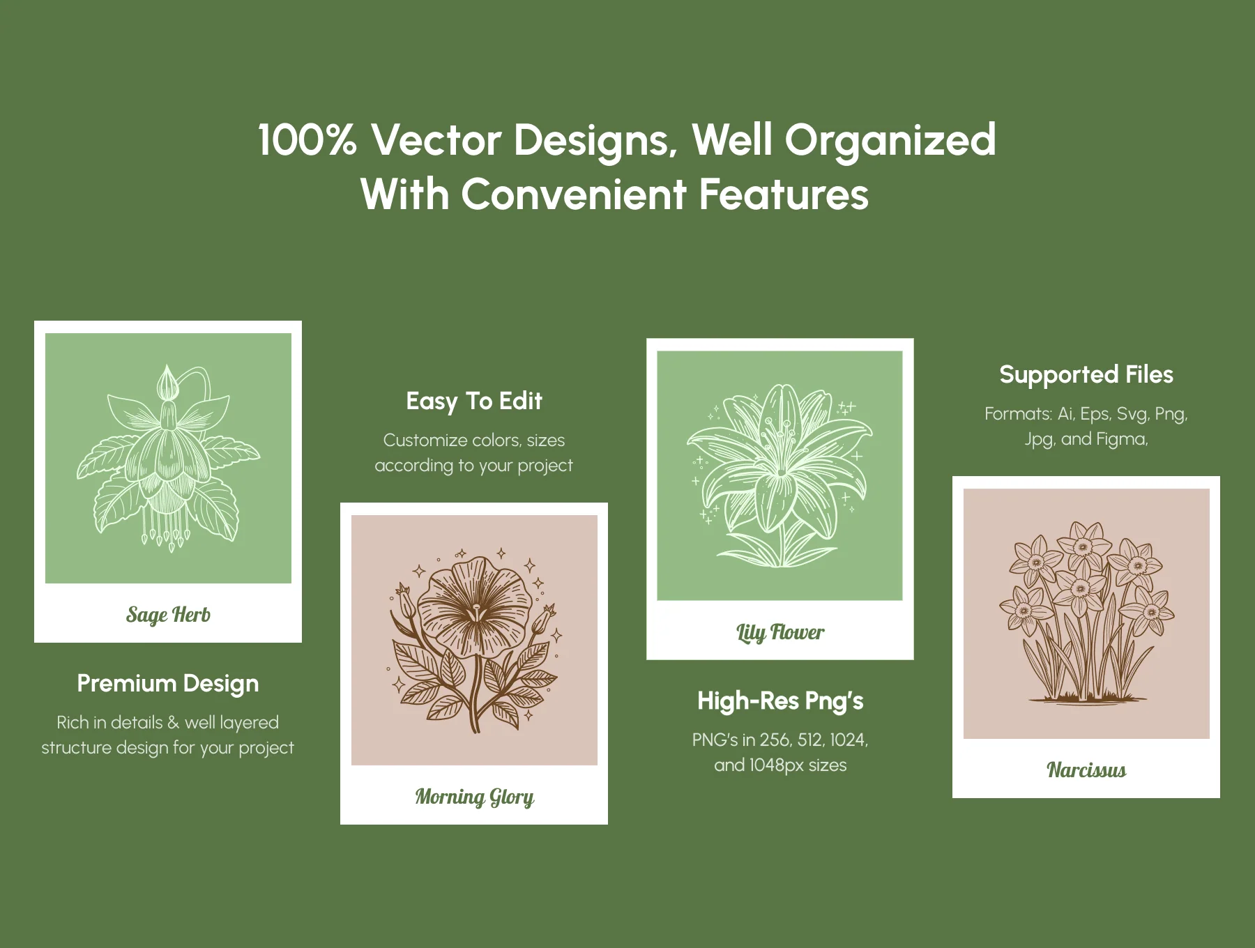 Floral and Botanical Illustration Set 2