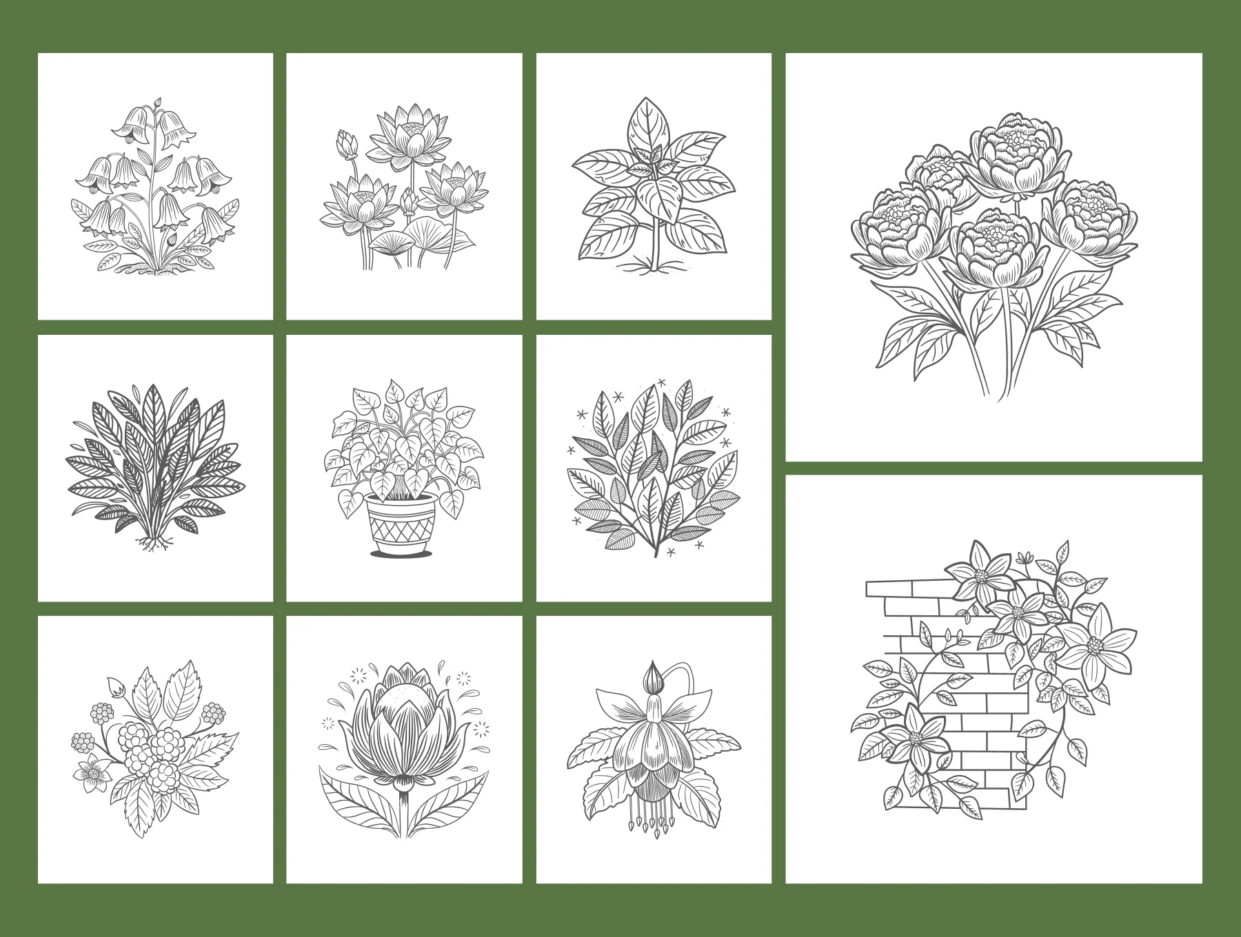 Floral and Botanical Illustration Set 5