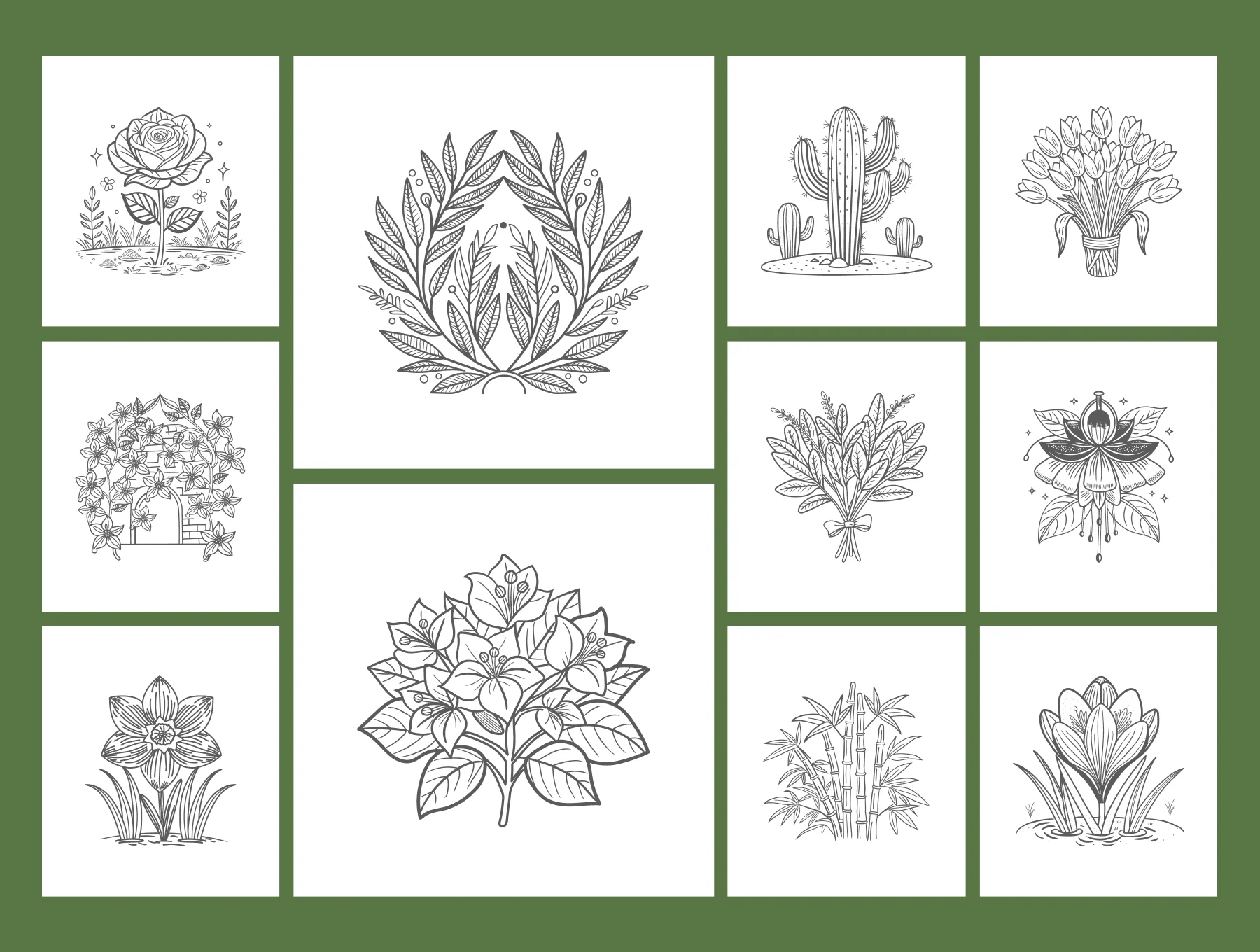 Floral and Botanical Illustration Set 6
