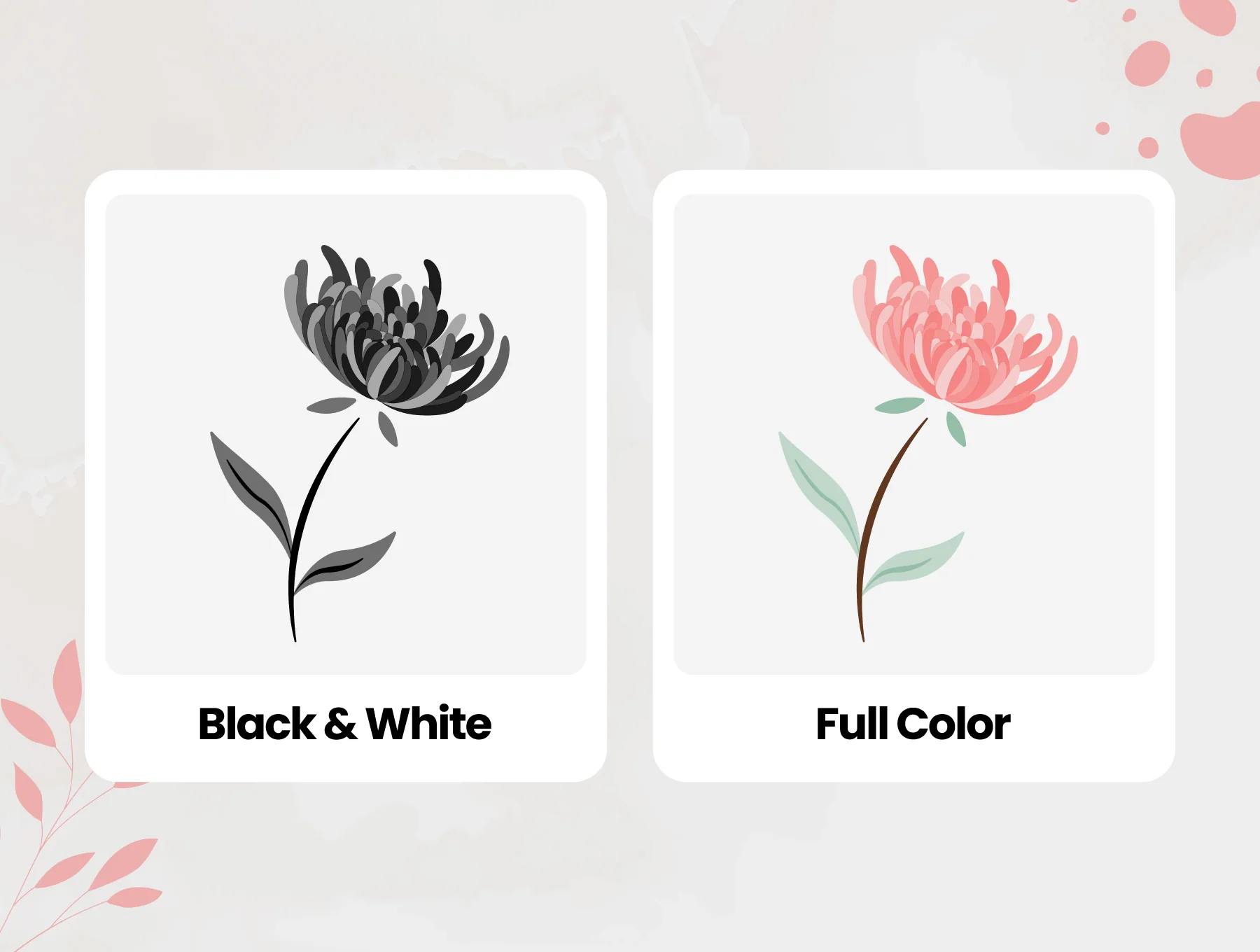 Floral Illustration Pack 4